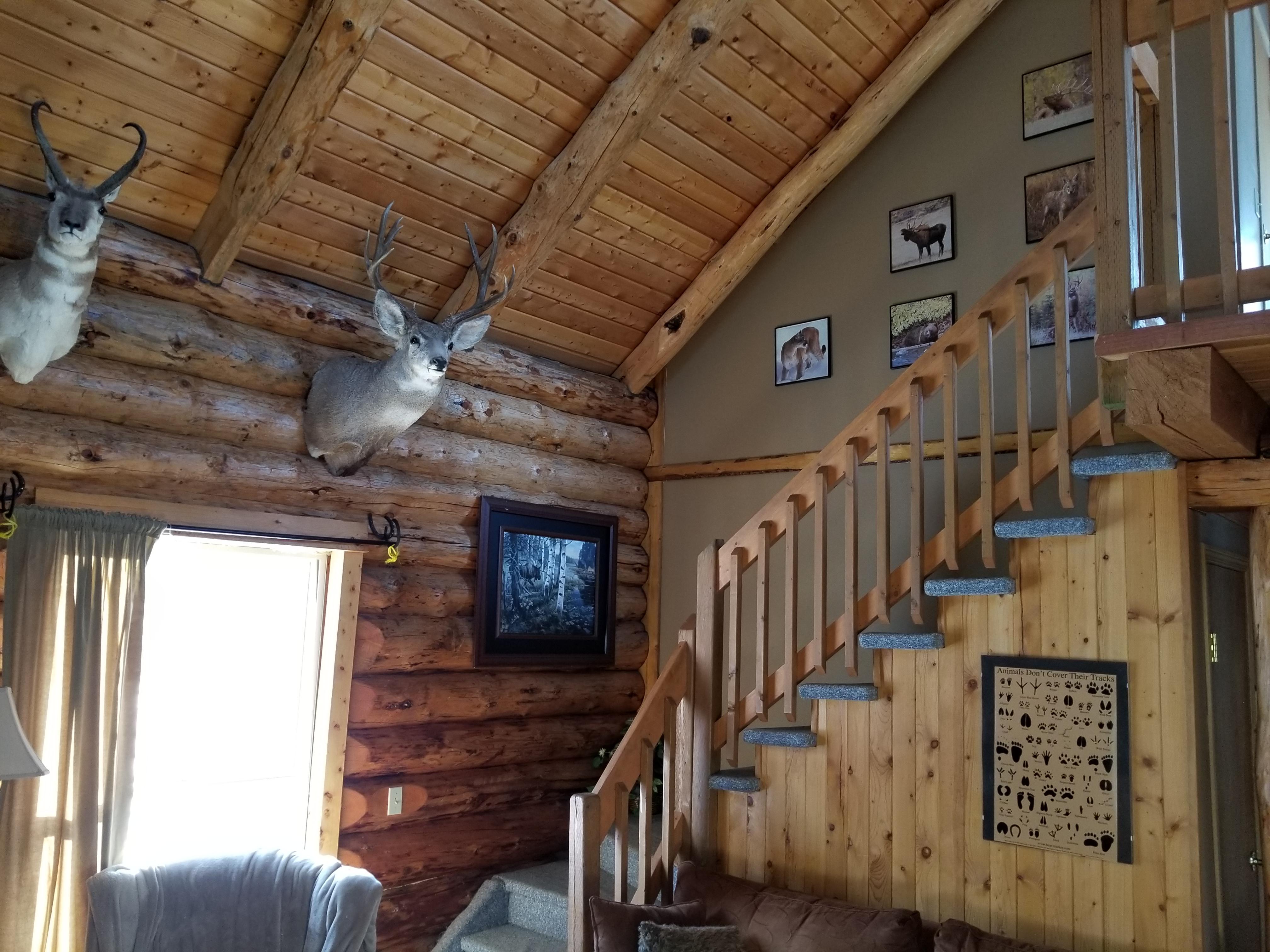 Cozy Cabin, Anchor D Ranch, Kananaskis, Alberta. r/CozyPlaces