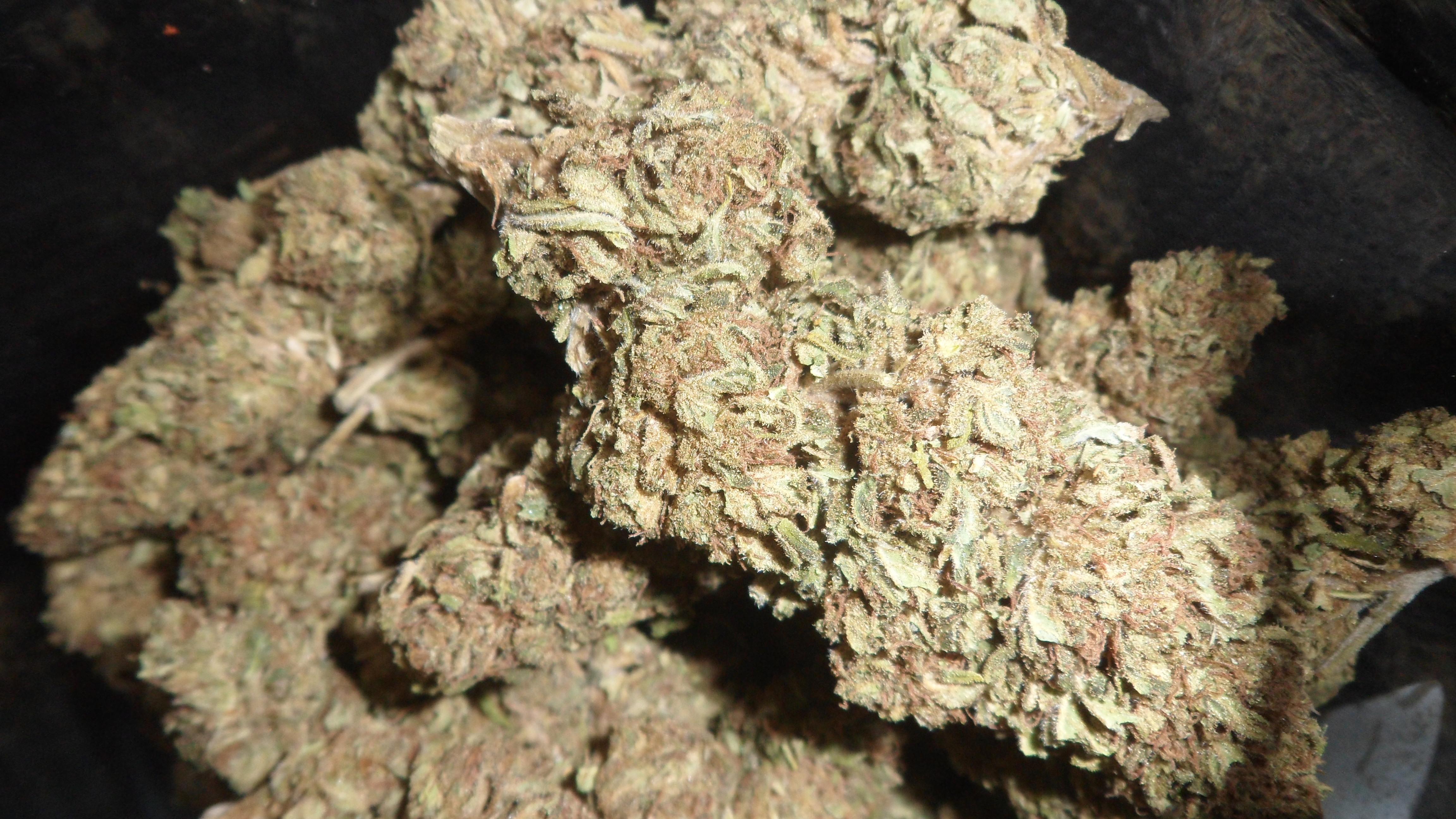 18.47 CBD Hemp Flower from CBDwire (UK) r/hempflowers