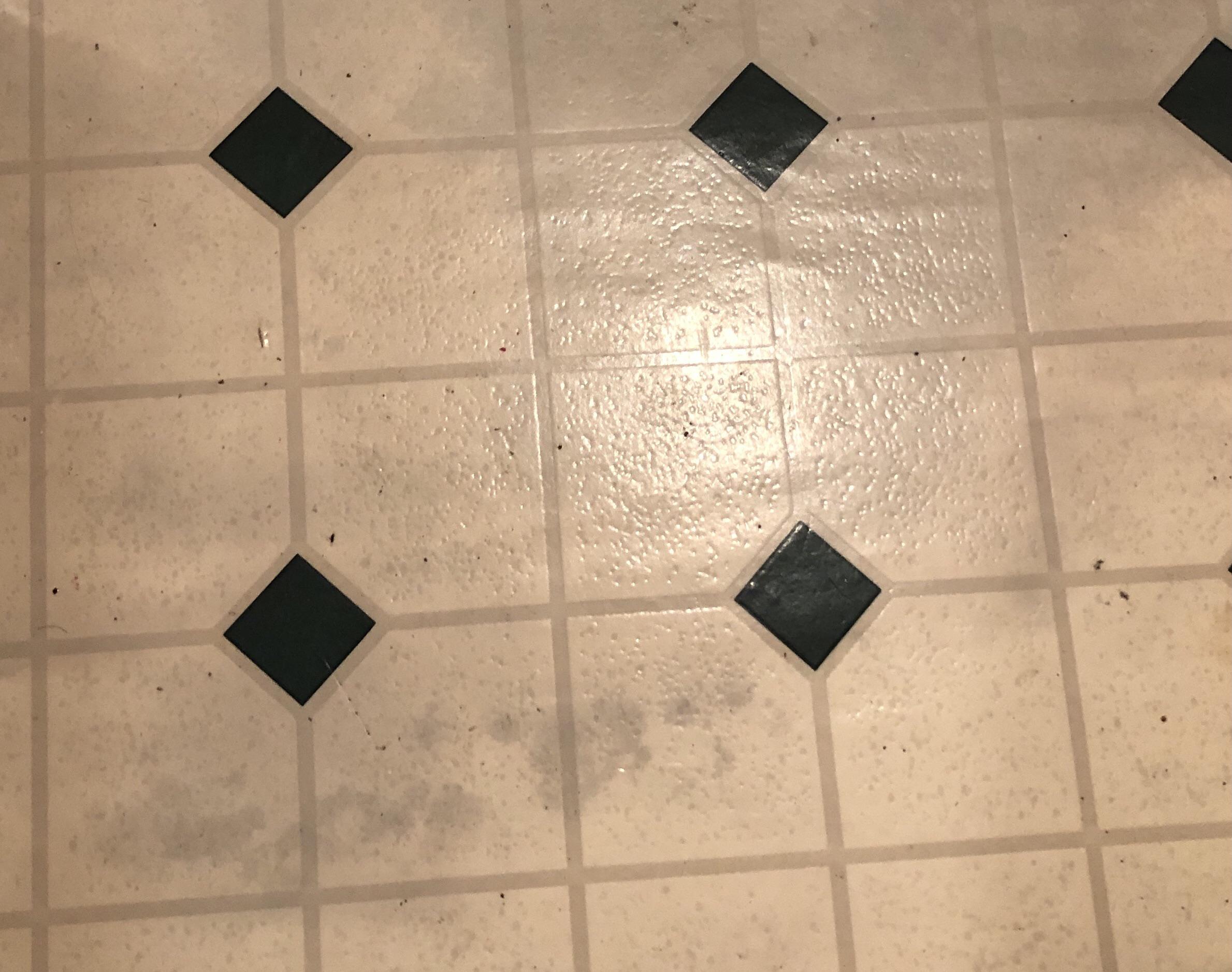 Is this mold under the bathroom linoleum and can it be cleaned from surface? (tenant question