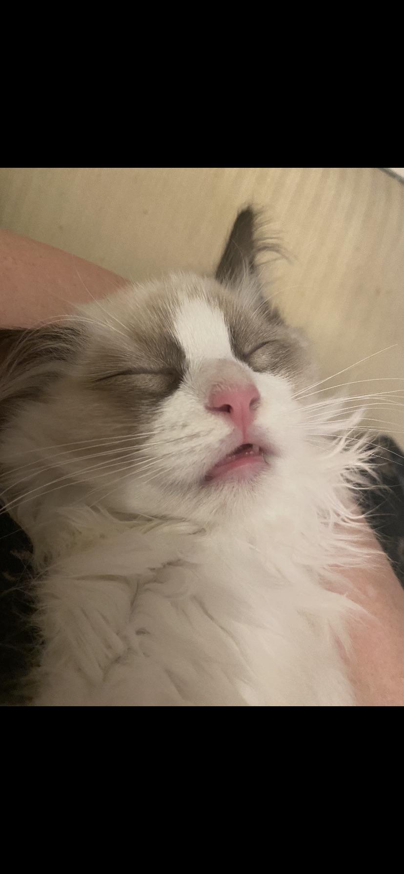 Reddit Dive into anything