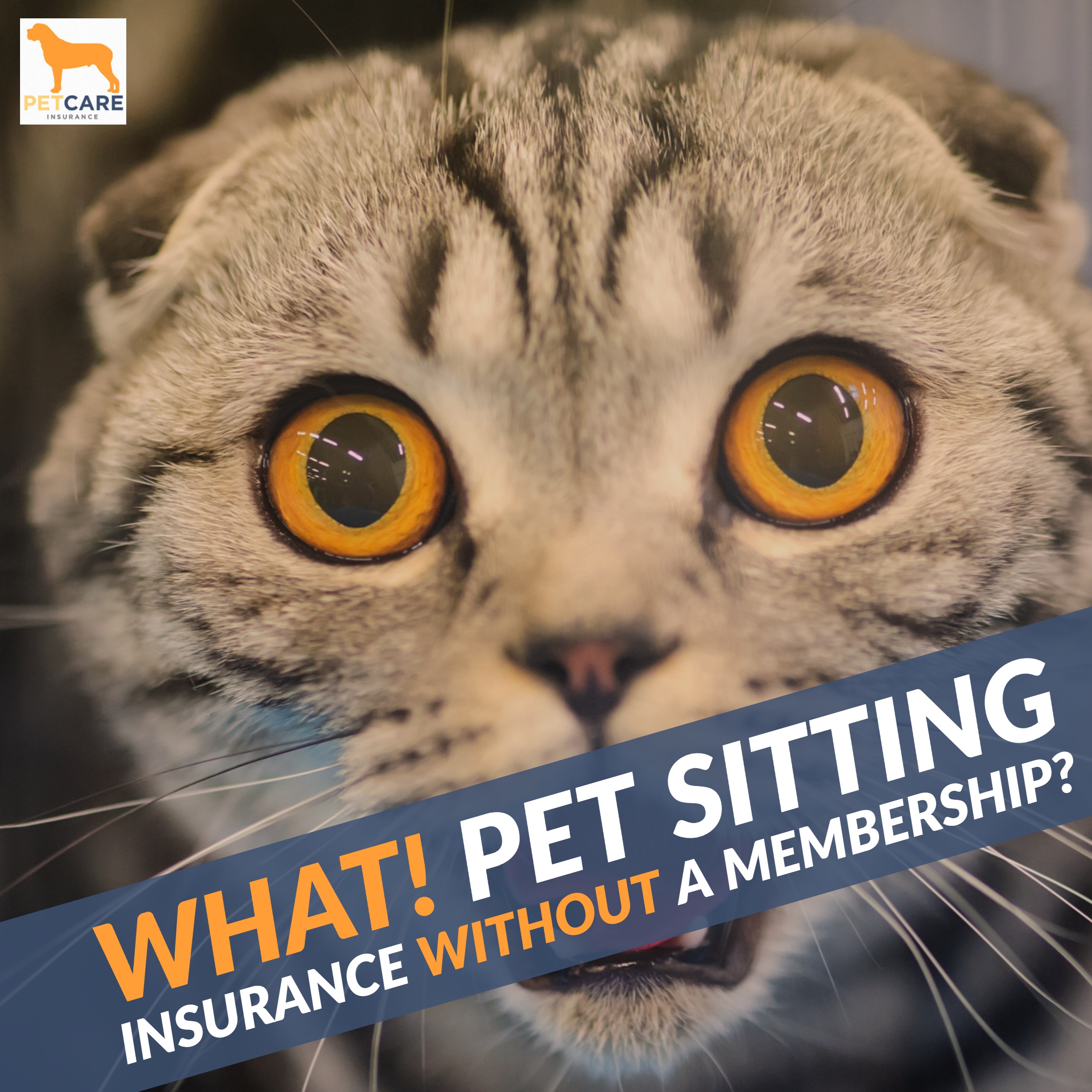 Pet Sitters Can Now Get Insurance Without A Membership. r/petsitting