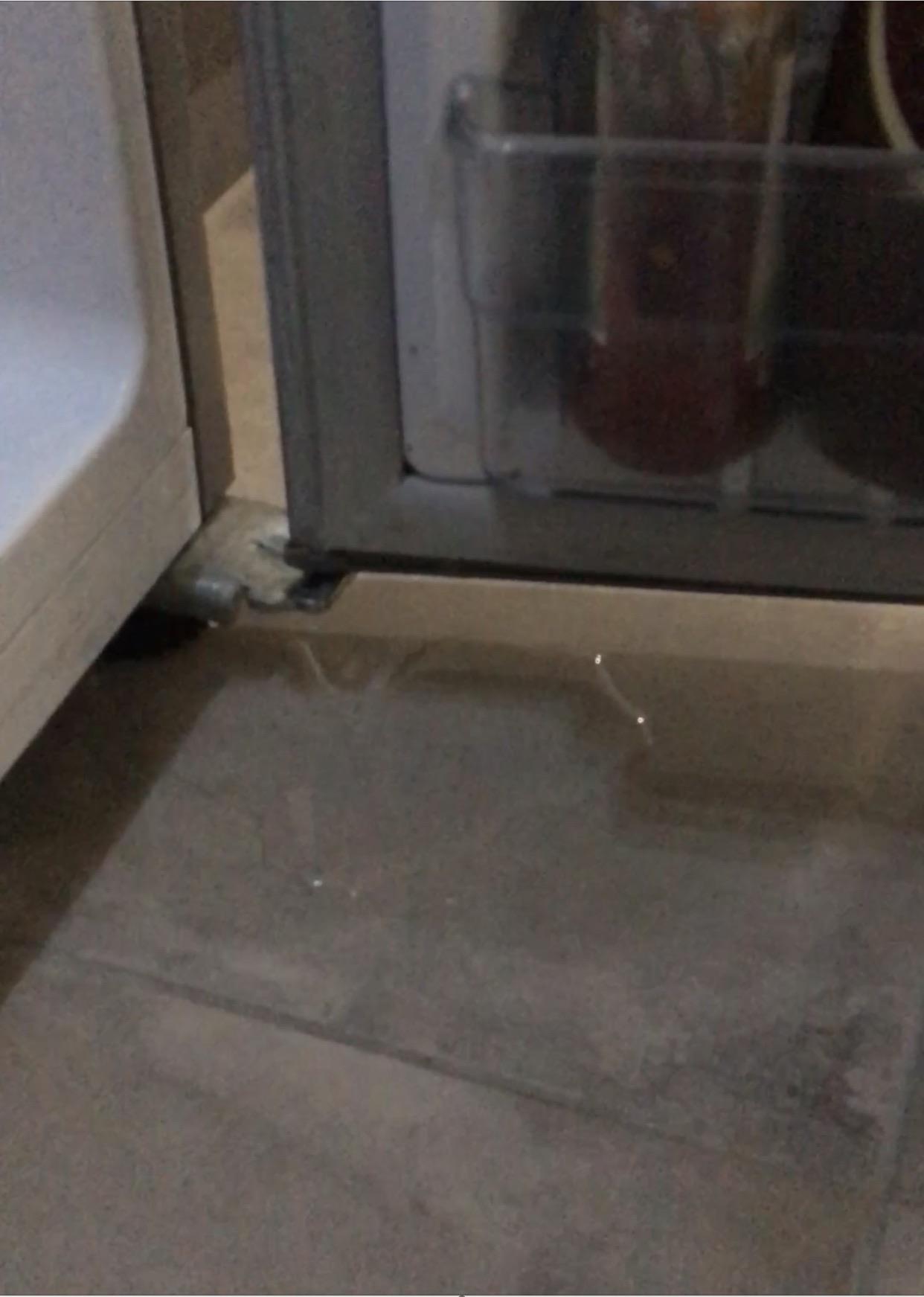 Hisense Refrigerator/Water leaking from the door. r/appliancerepair
