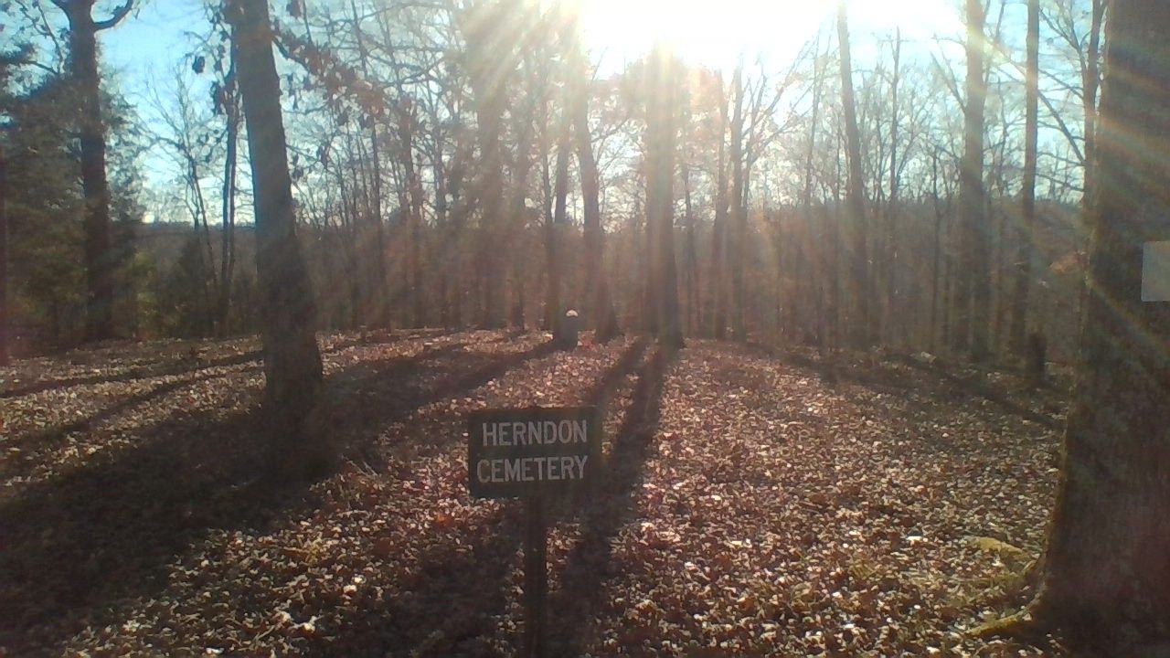 Herndon Cemetery in Land Between the Lakes, Stewart County, TN r