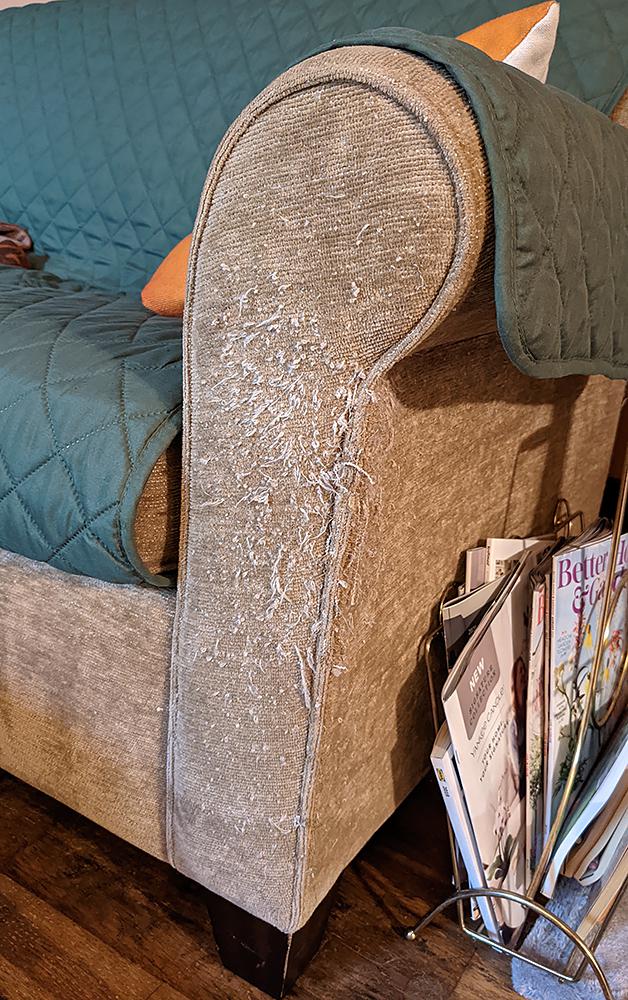 Is there anything I can do myself to improve this upholstery damage