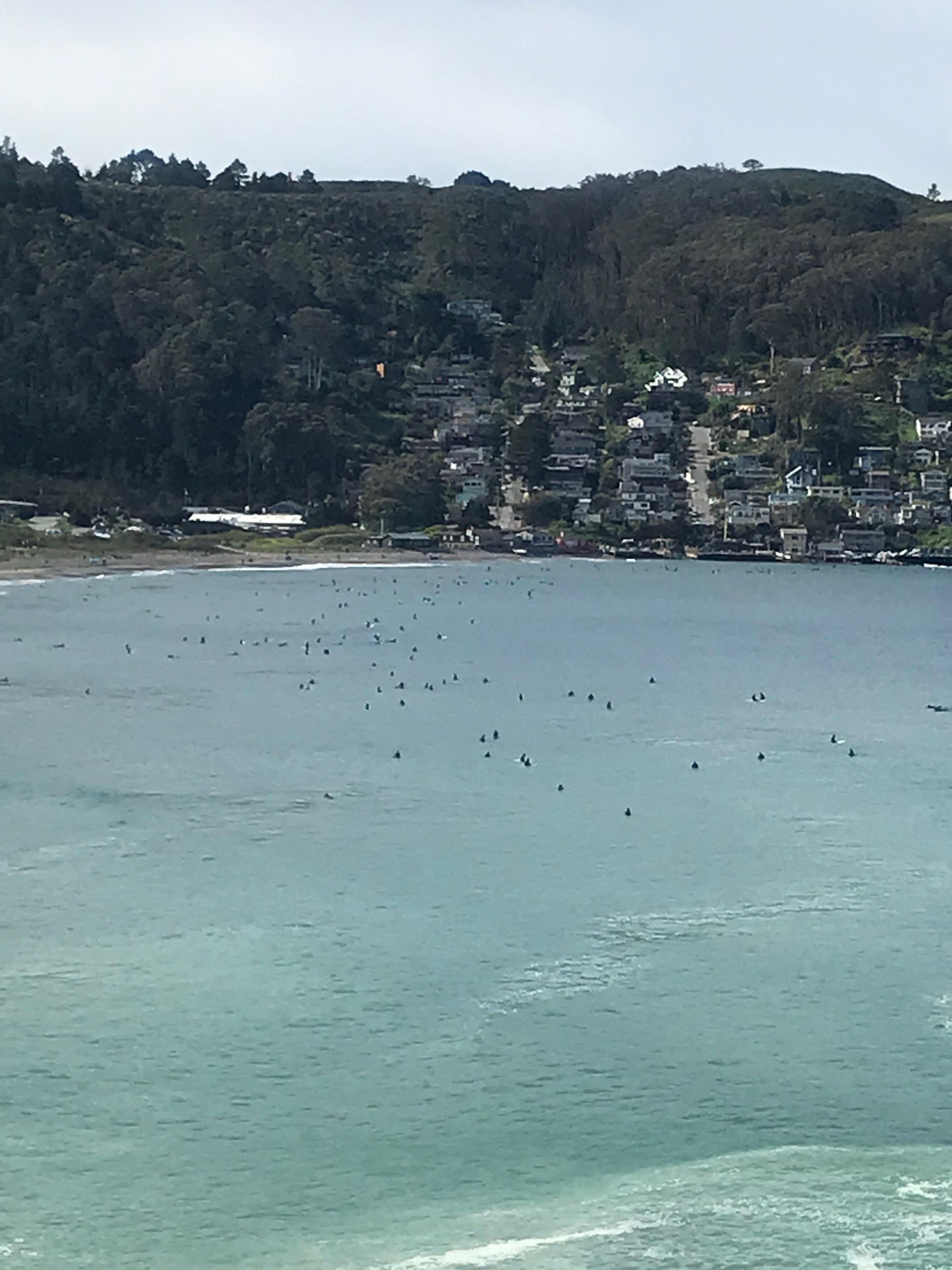 Linda Mar Beach (Pacifica, CA) today during "Shelter in place" r/surfing