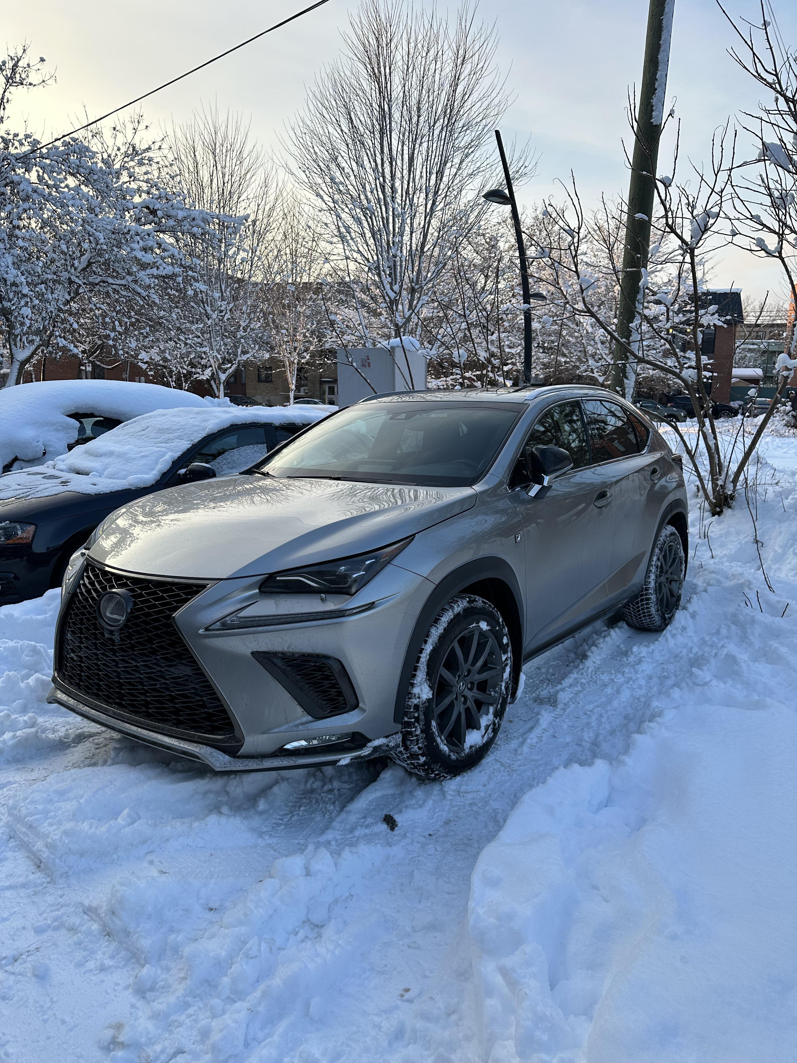 She looks beautiful in the snow : r/Lexus