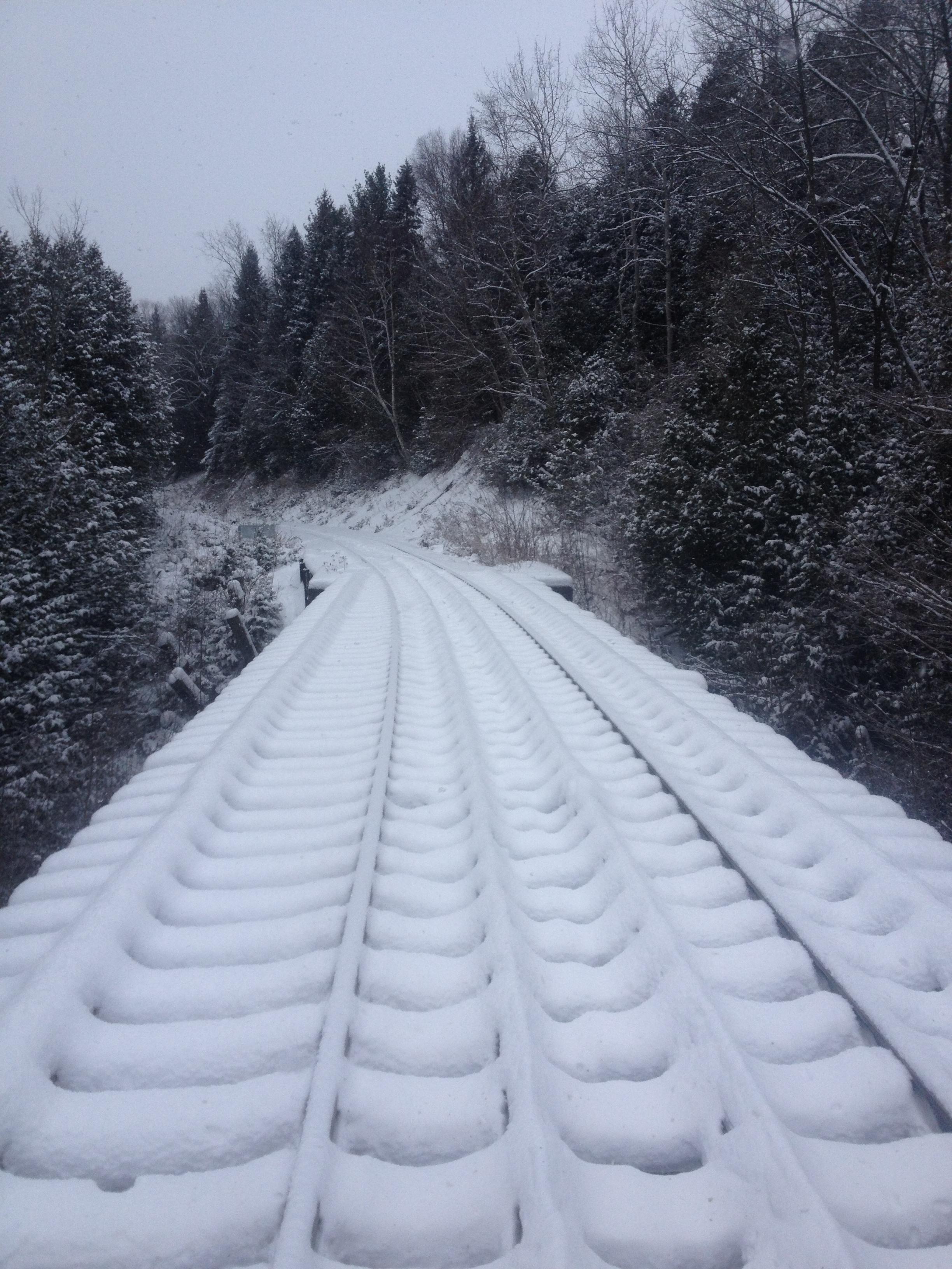 Timber track bridge. Ontario, Canada. r/pics