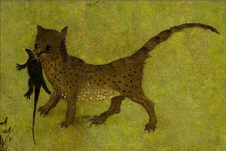 Average Dutch cat in the 15th century r/MedievalCats
