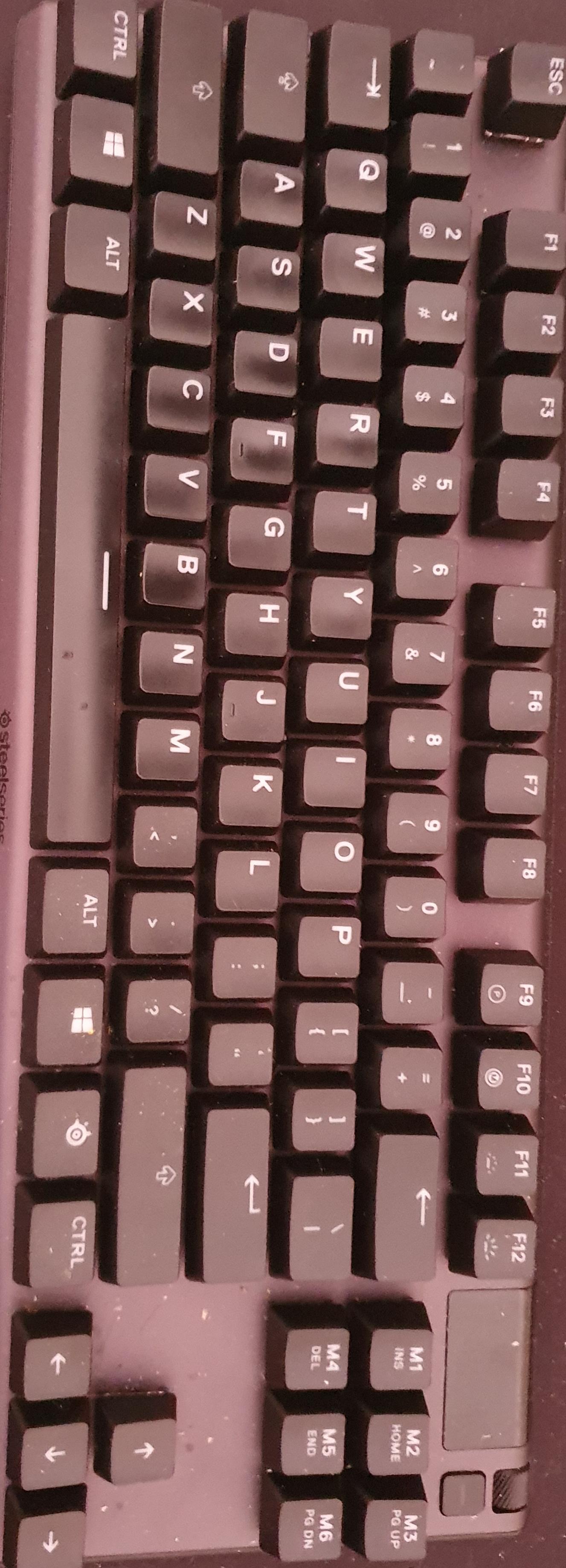 What are the best custom keycaps for the steel series apex pro tkl? r