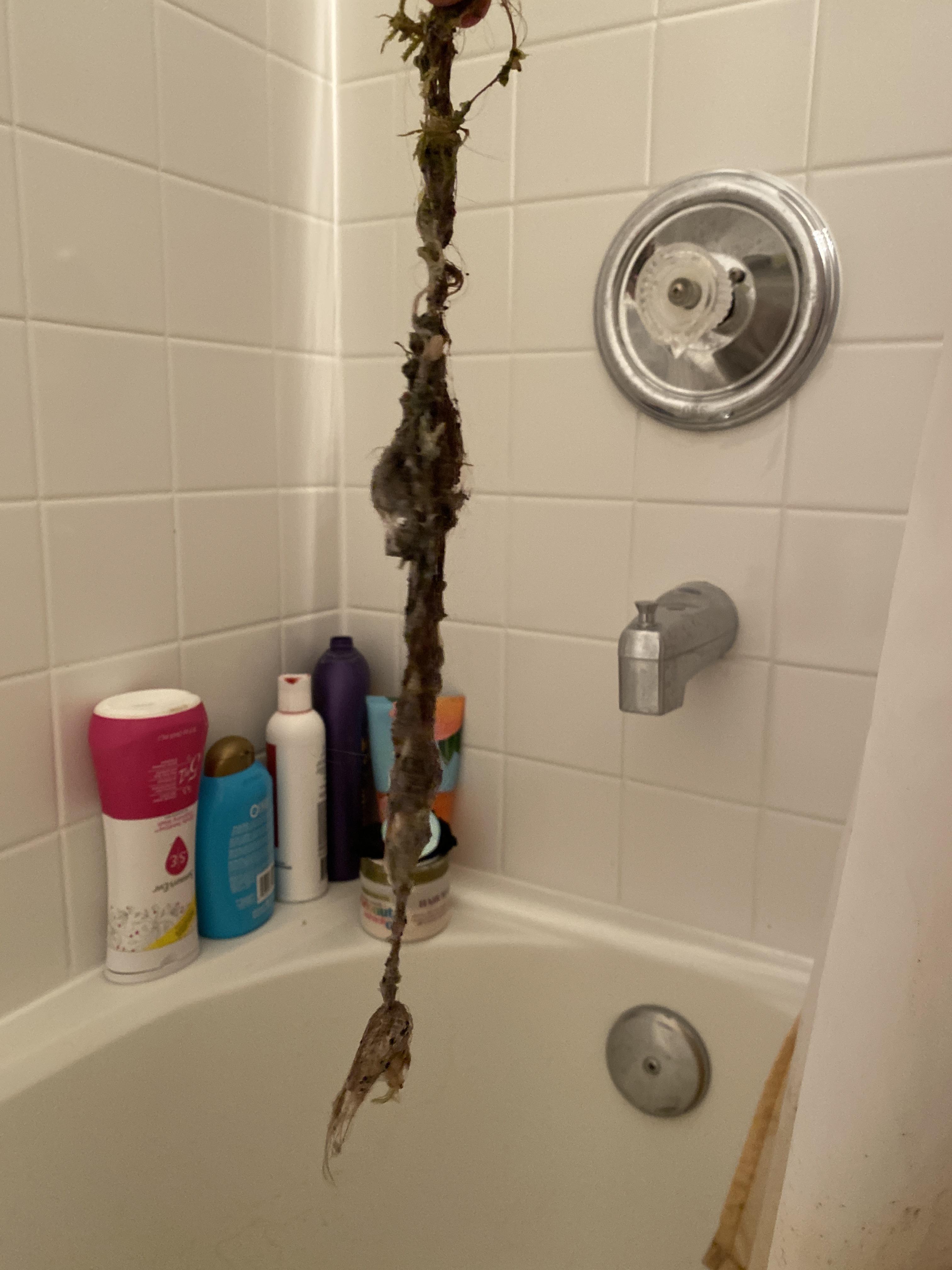 Found out why my shower wasn’t draining... disgusting