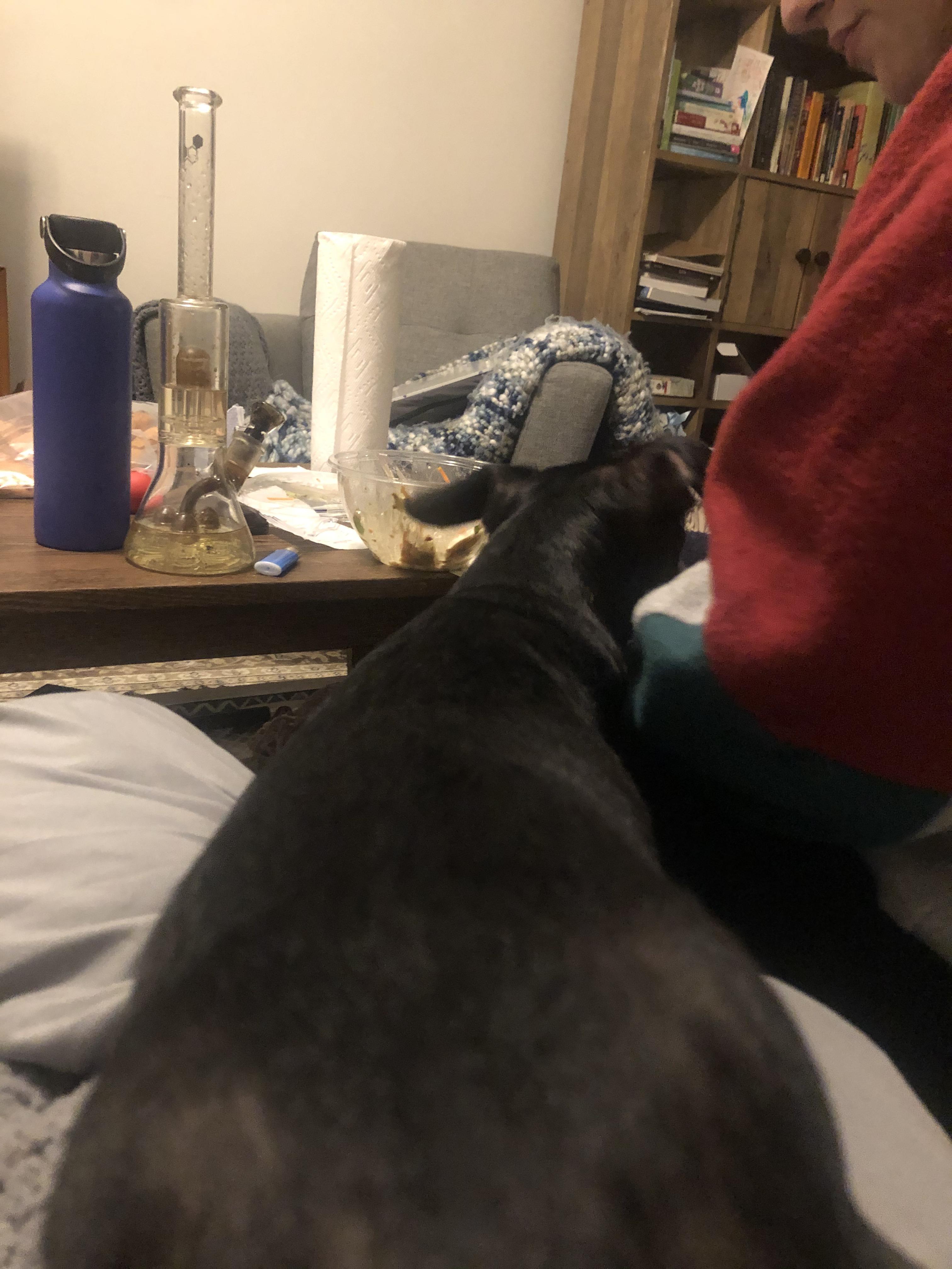 Exceptionally long wiener smoke buddy. Bong and hydroflask for scale