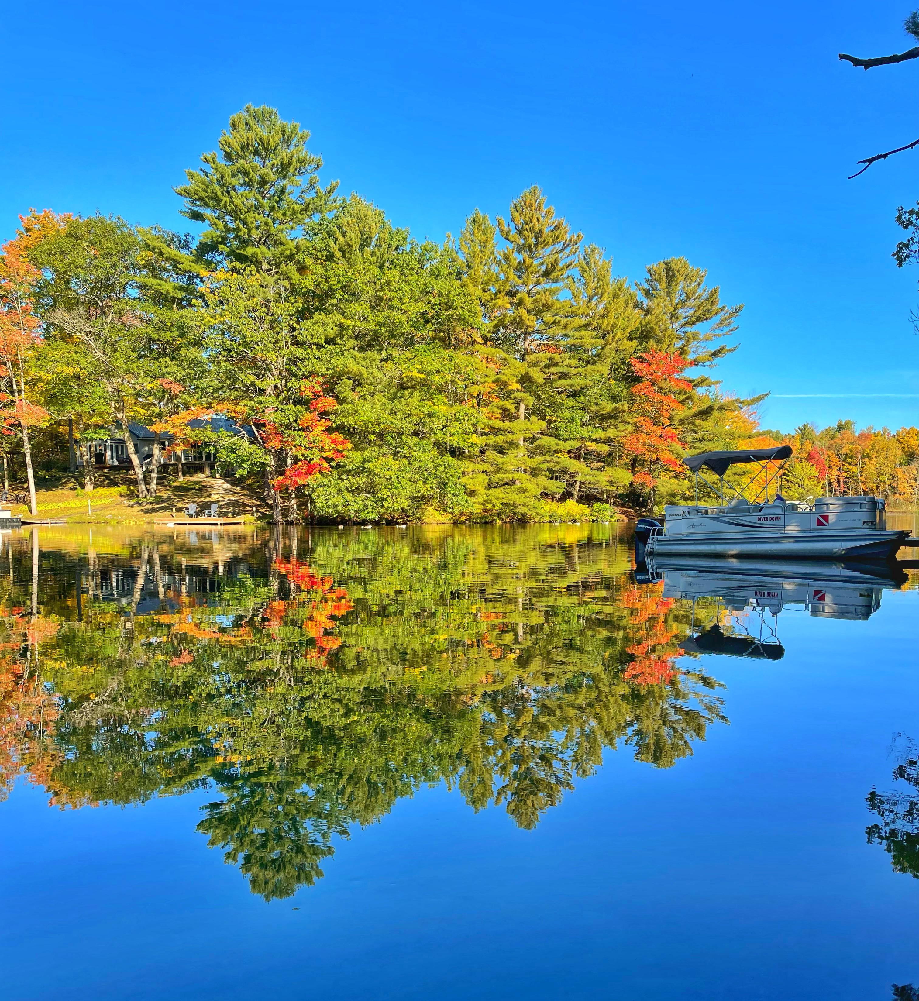 Autumn in Washago, Ontario. r/AutumnPorn