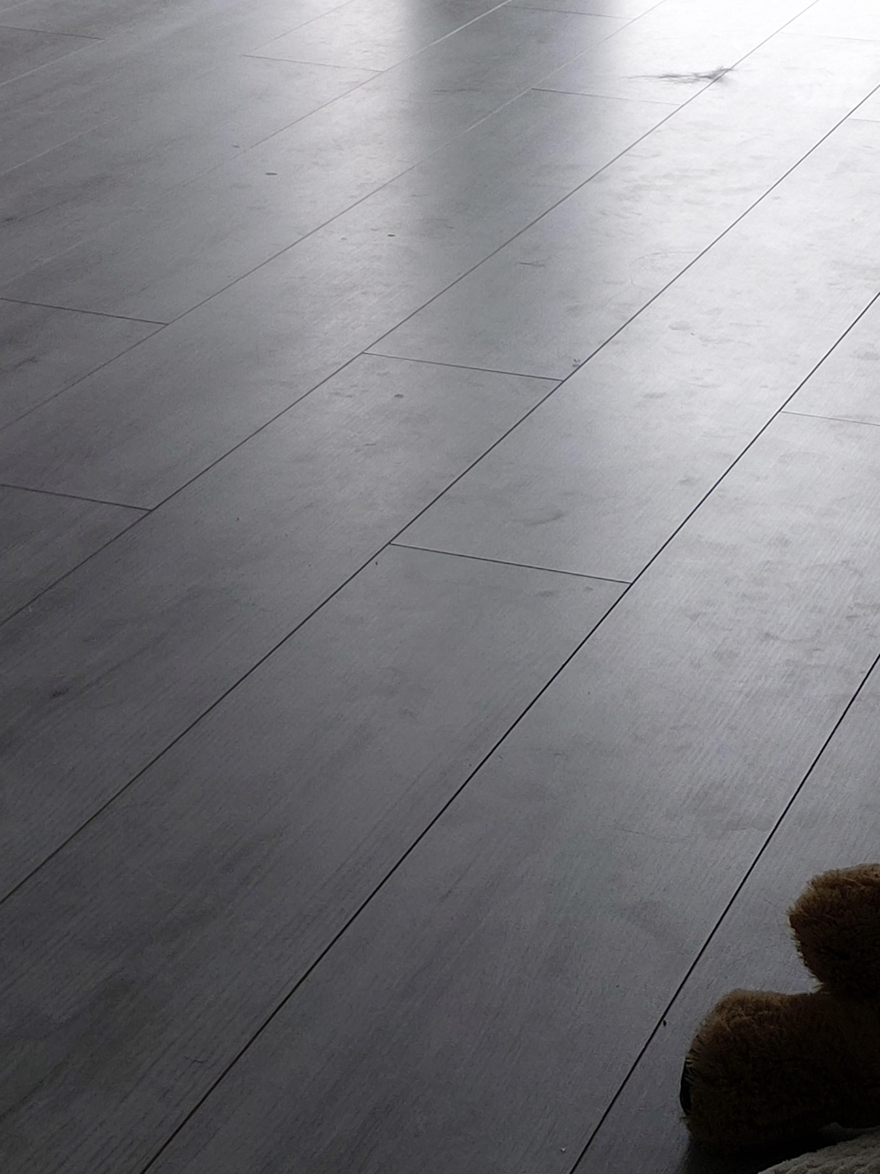 Permanently dirty laminate floor with paw prints. Appear right back