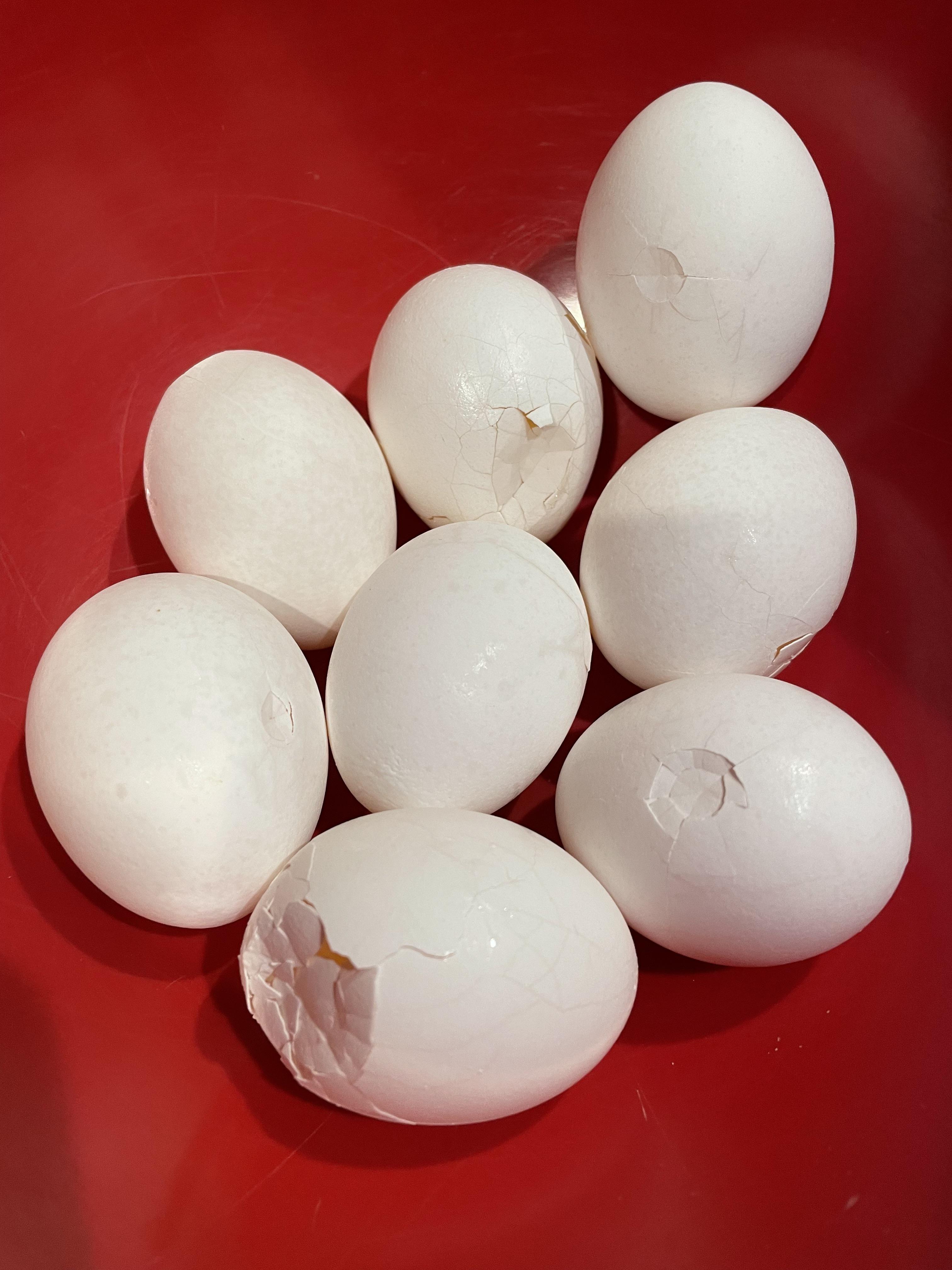 Something smelled in the refrigerator and I found 8 broken eggs in the egg tray r