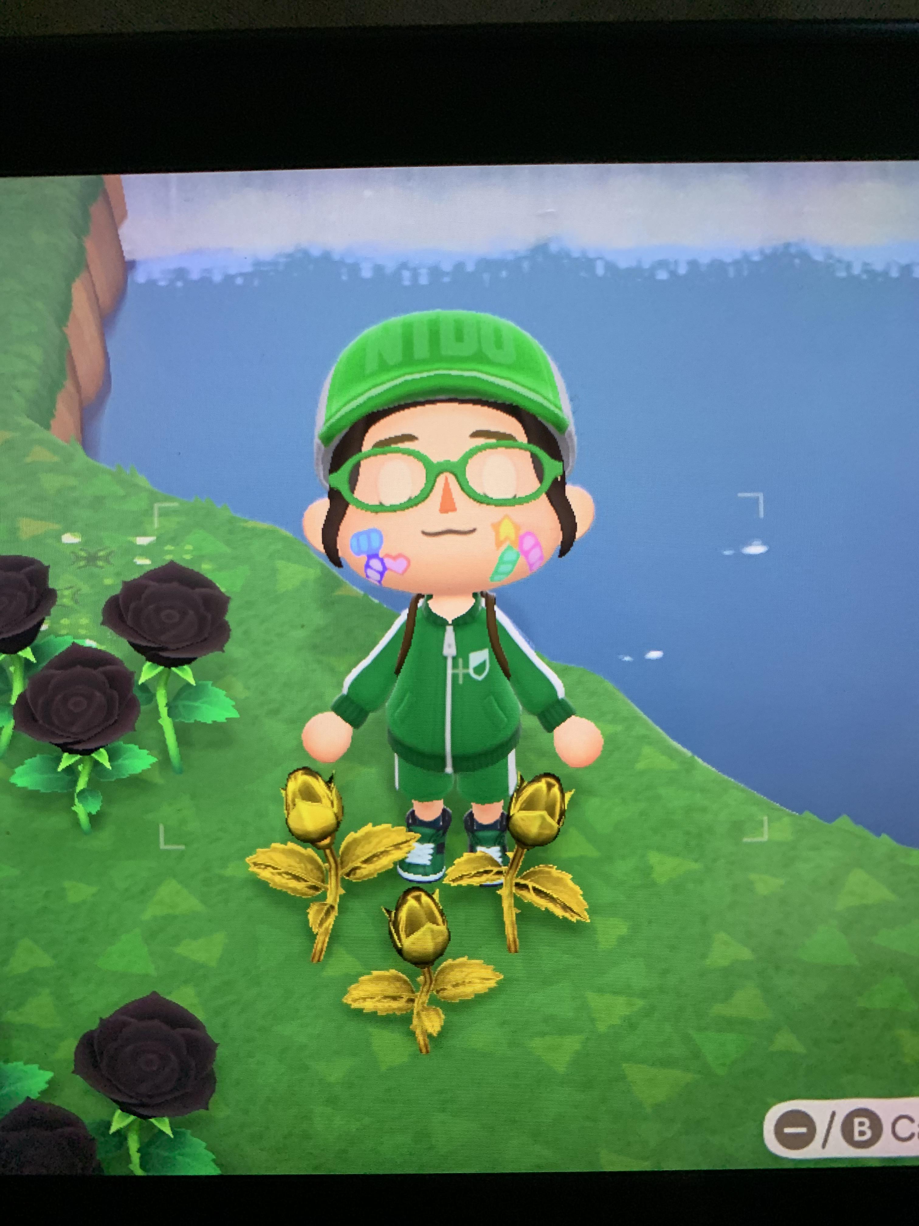 Finally got gold roses r/ACNH_RealTime