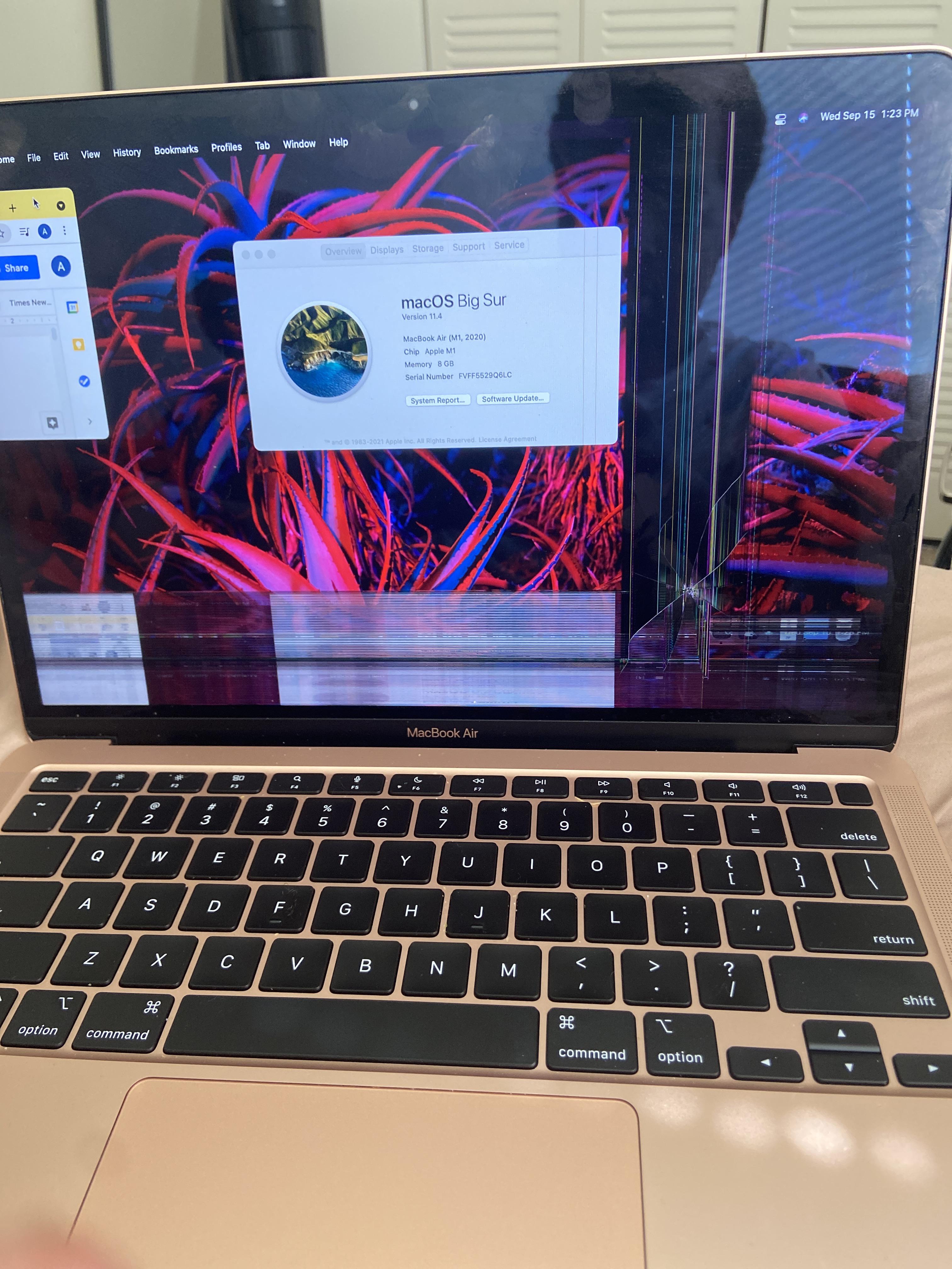 Accident launched my AirPod case into my screen,how much do you think