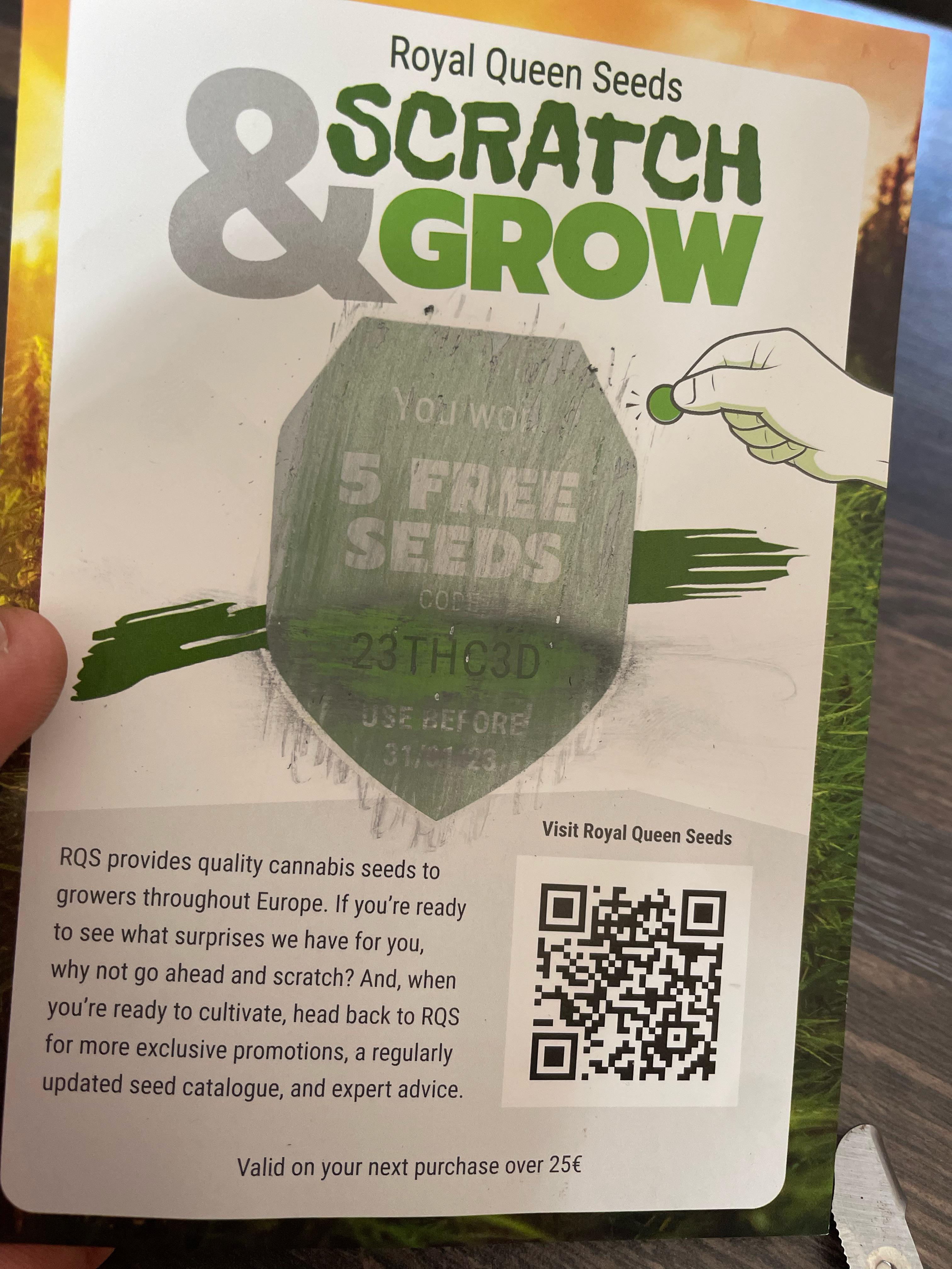 5 free seeds, merry Christmas Guys