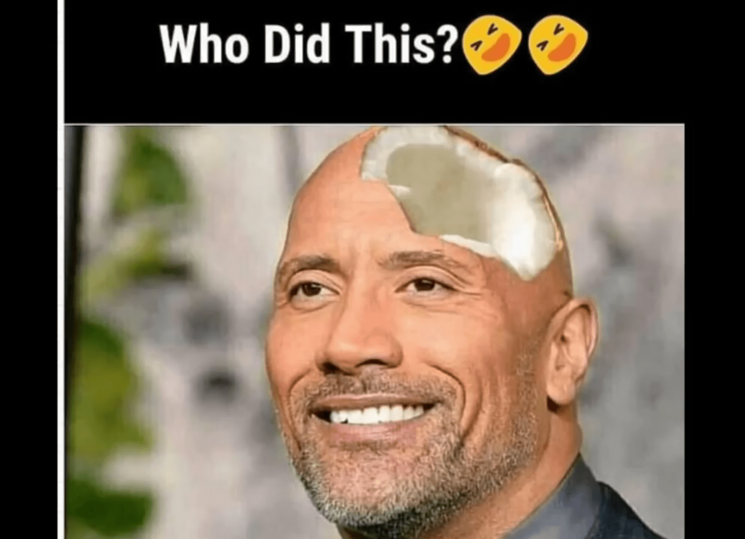 Funny Human Pictures Without Captions