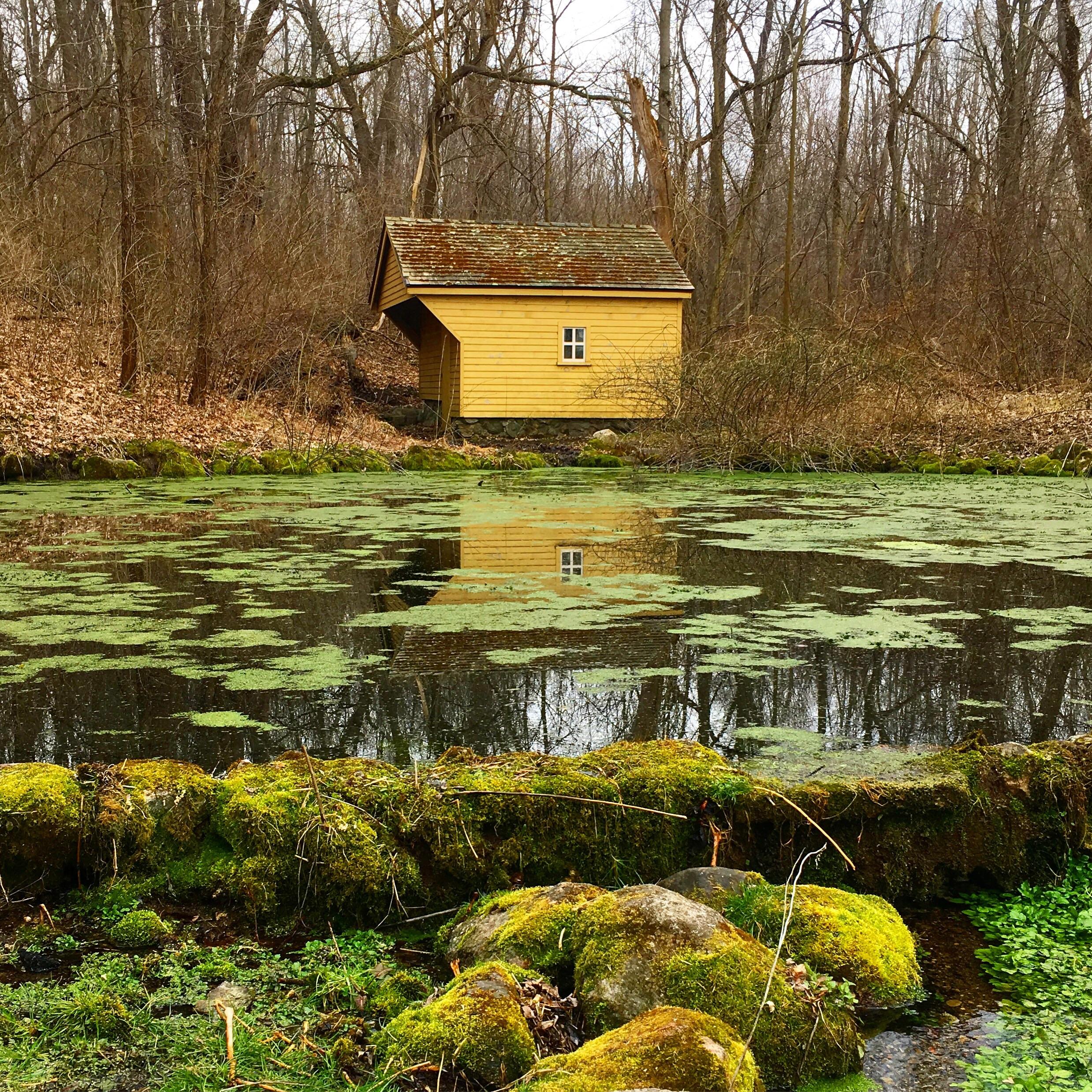 Spring House at Potato Creek State Park in Indiana r/hiking