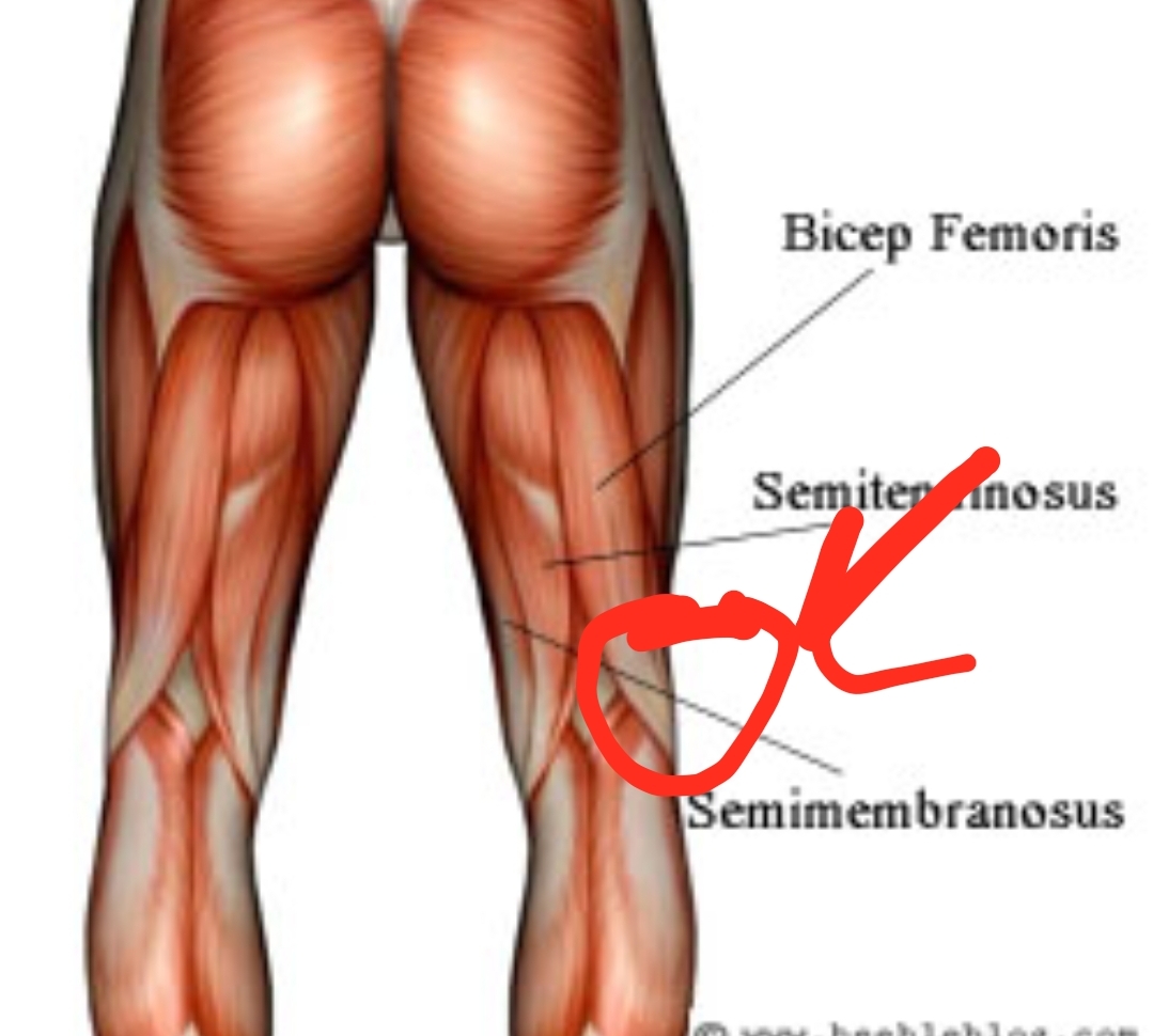 Pain when squatting, I highlighted the part where it hurts r/medical