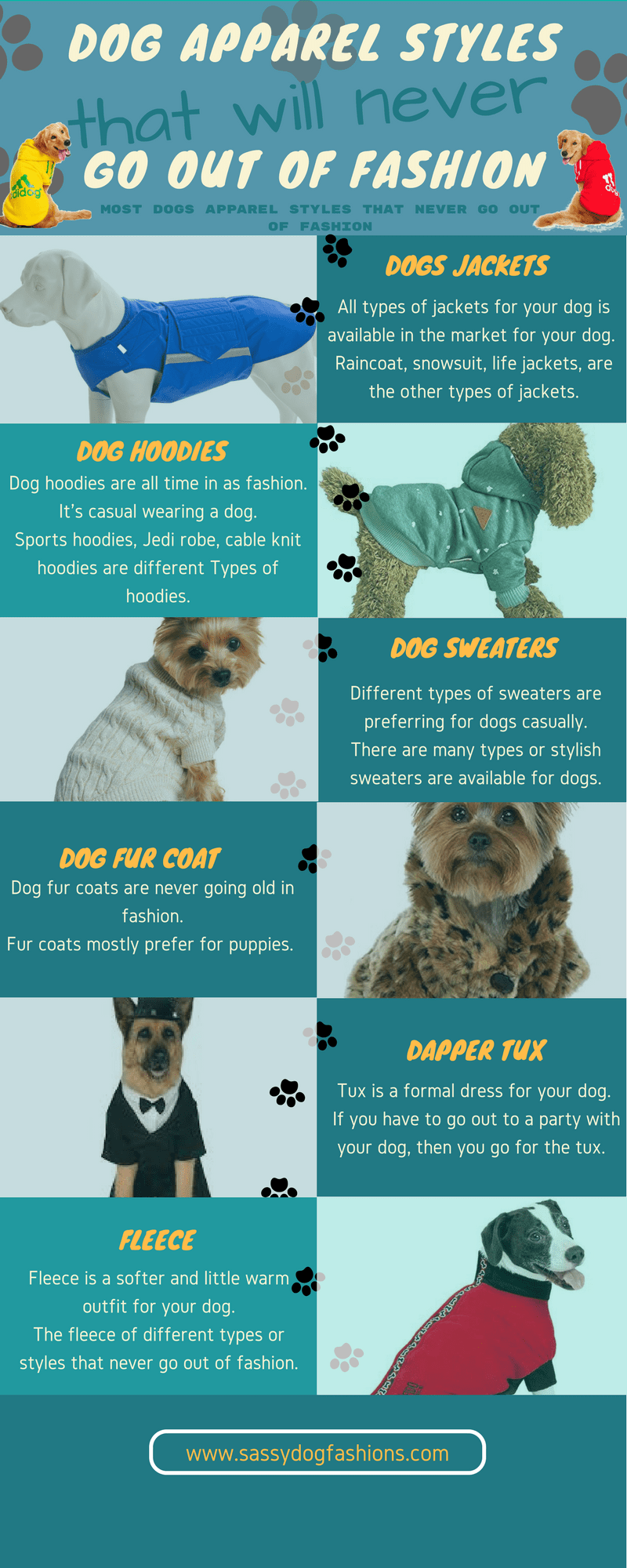 Dog apparel styles that will never go out of fashion r/PetBehavior