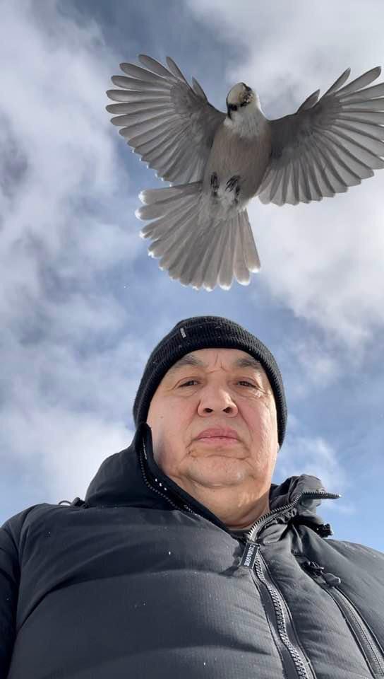 A friend took this picture of a Whiskey Jack. r/pics