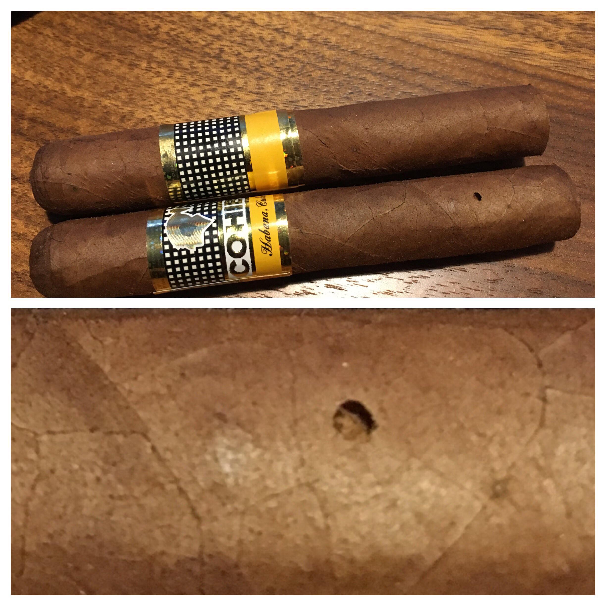 Is this a beetle larva at work ? r/cigars