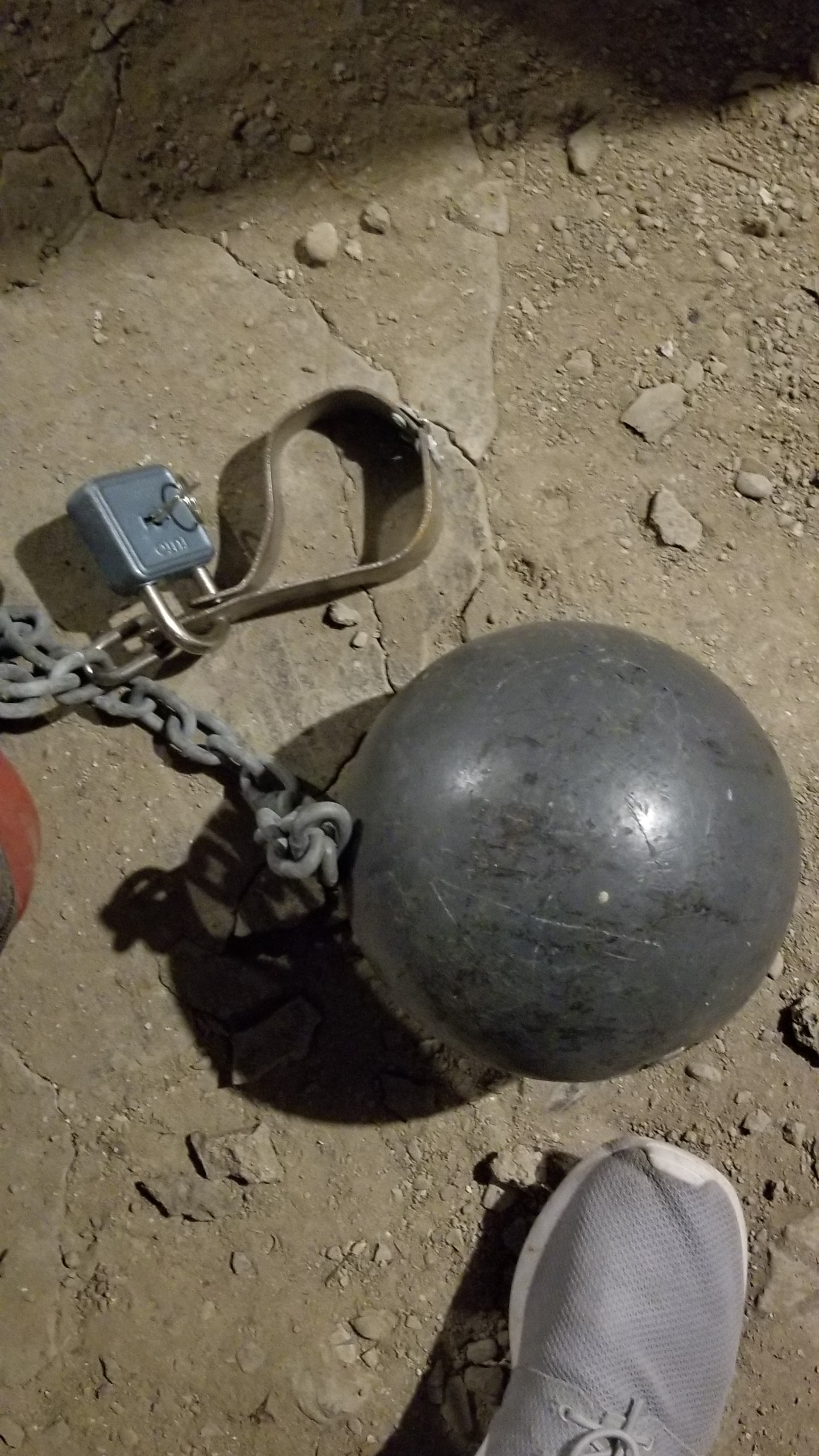 The old Ball and Chain…whatta battle axe r/NormMacdonald