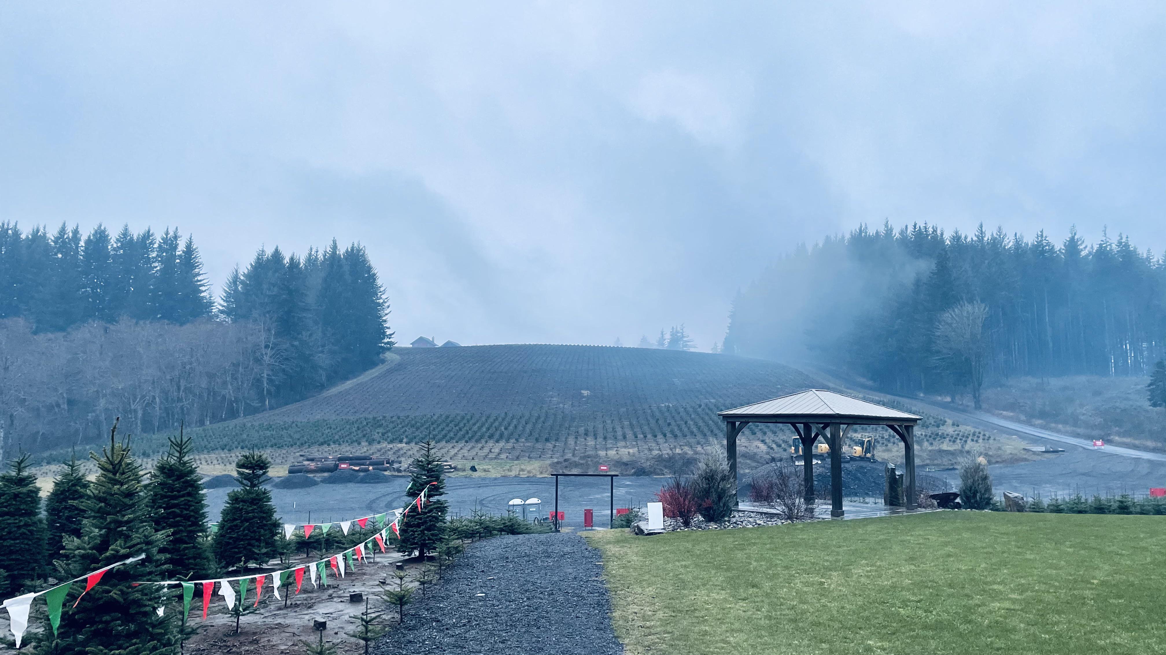 Klopman Xmas Tree Farms is AMAZING! r/vancouverwa