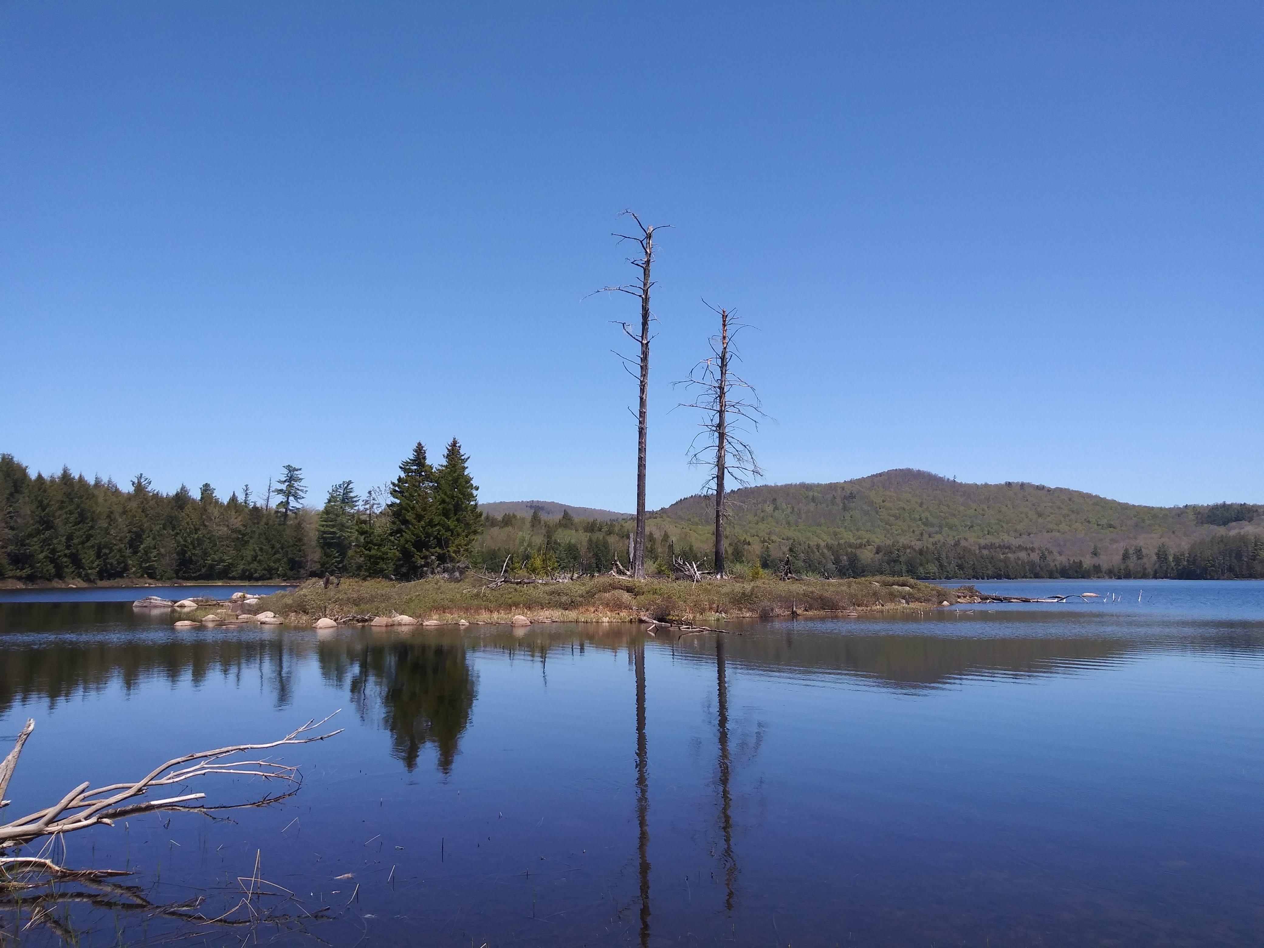 Wilcox Lake, southern Adirondacks r/Adirondacks