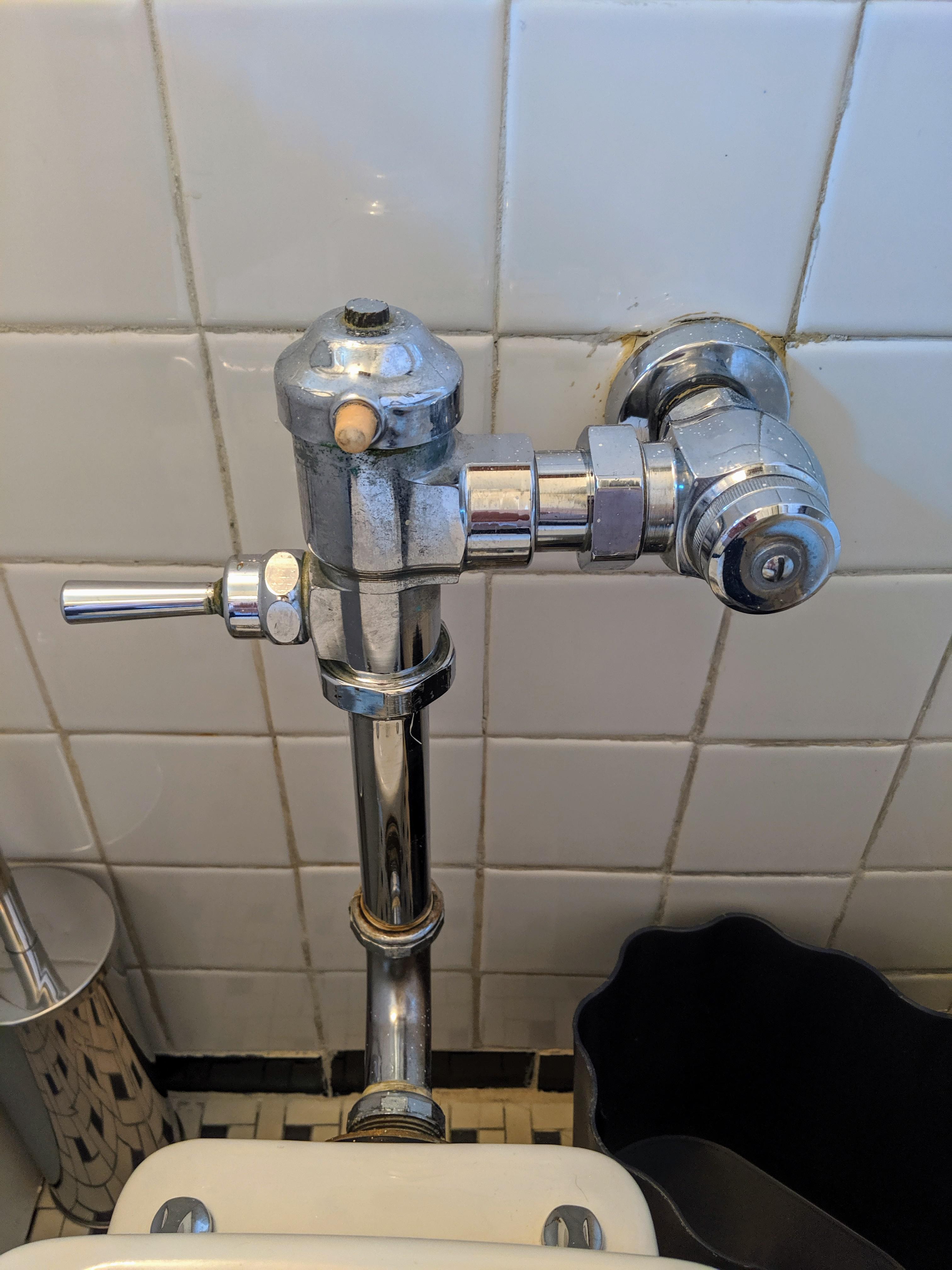 Sloan Gem Flushometer handle leaking r/Plumbing
