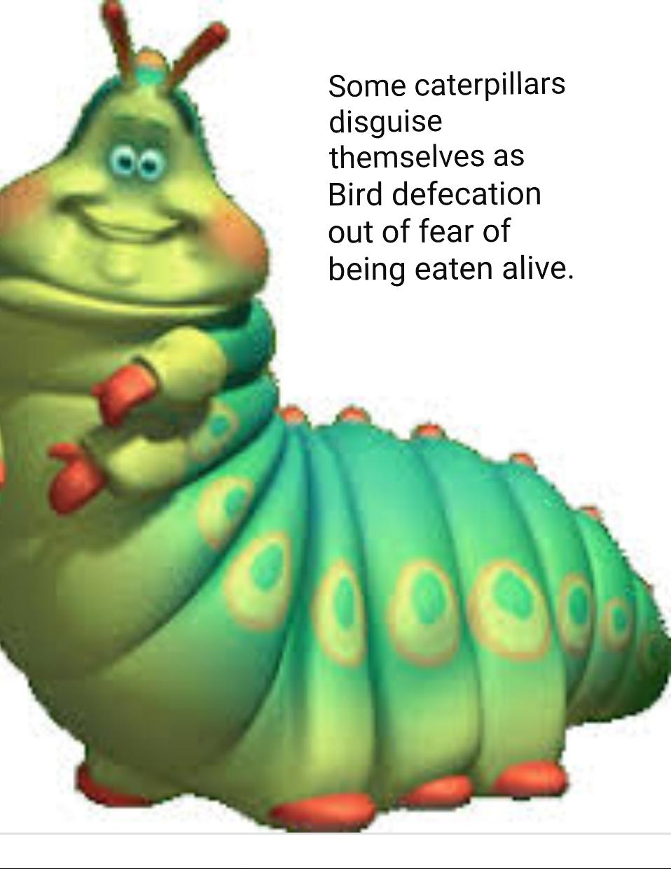 Epic caterpillar fact r/CoolBugFacts