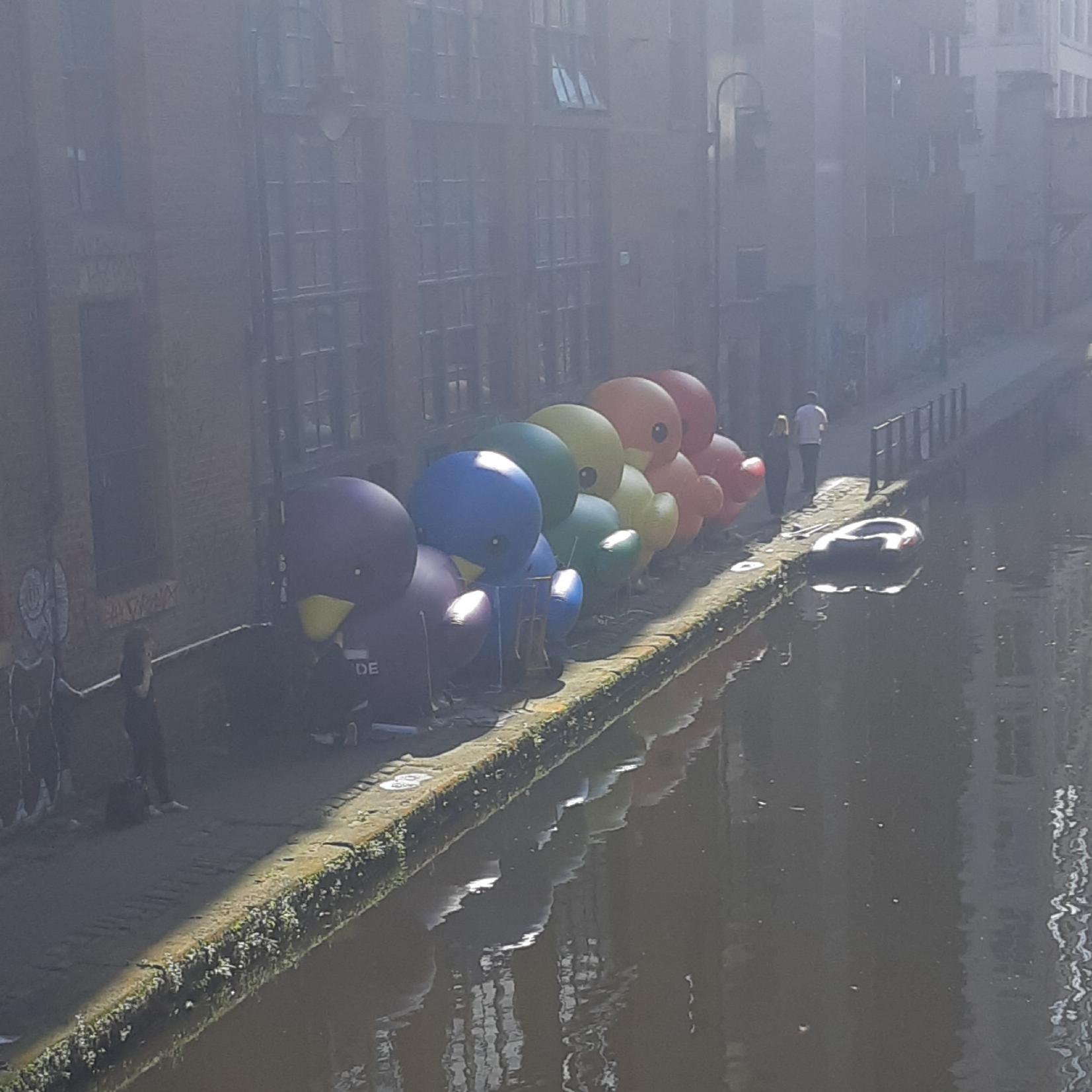 Turns out the collective noun for ducks is a Pride. r/manchester