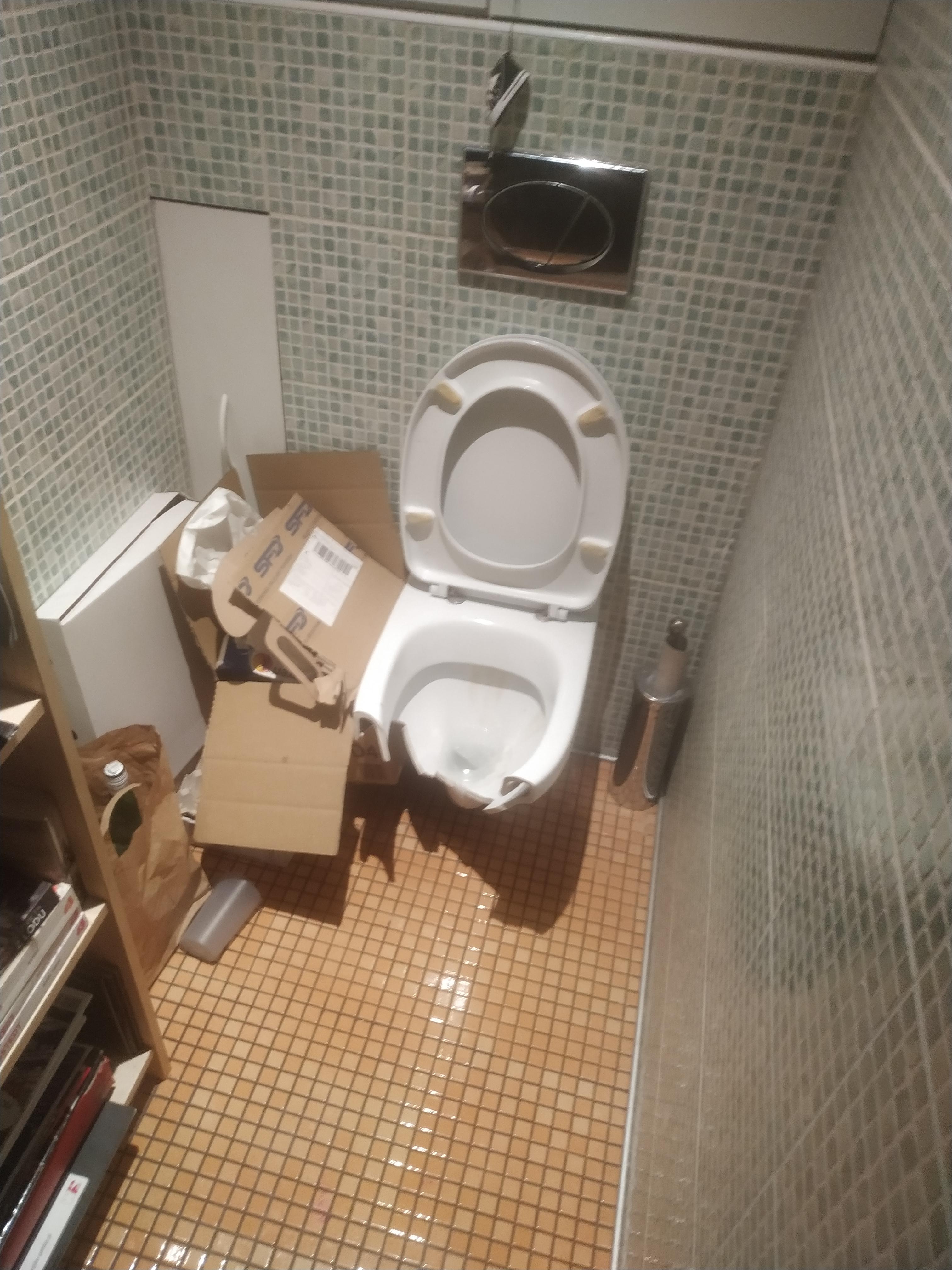 Tool box fell on my toilet bowl. Guess im gonna shit in my pants till
