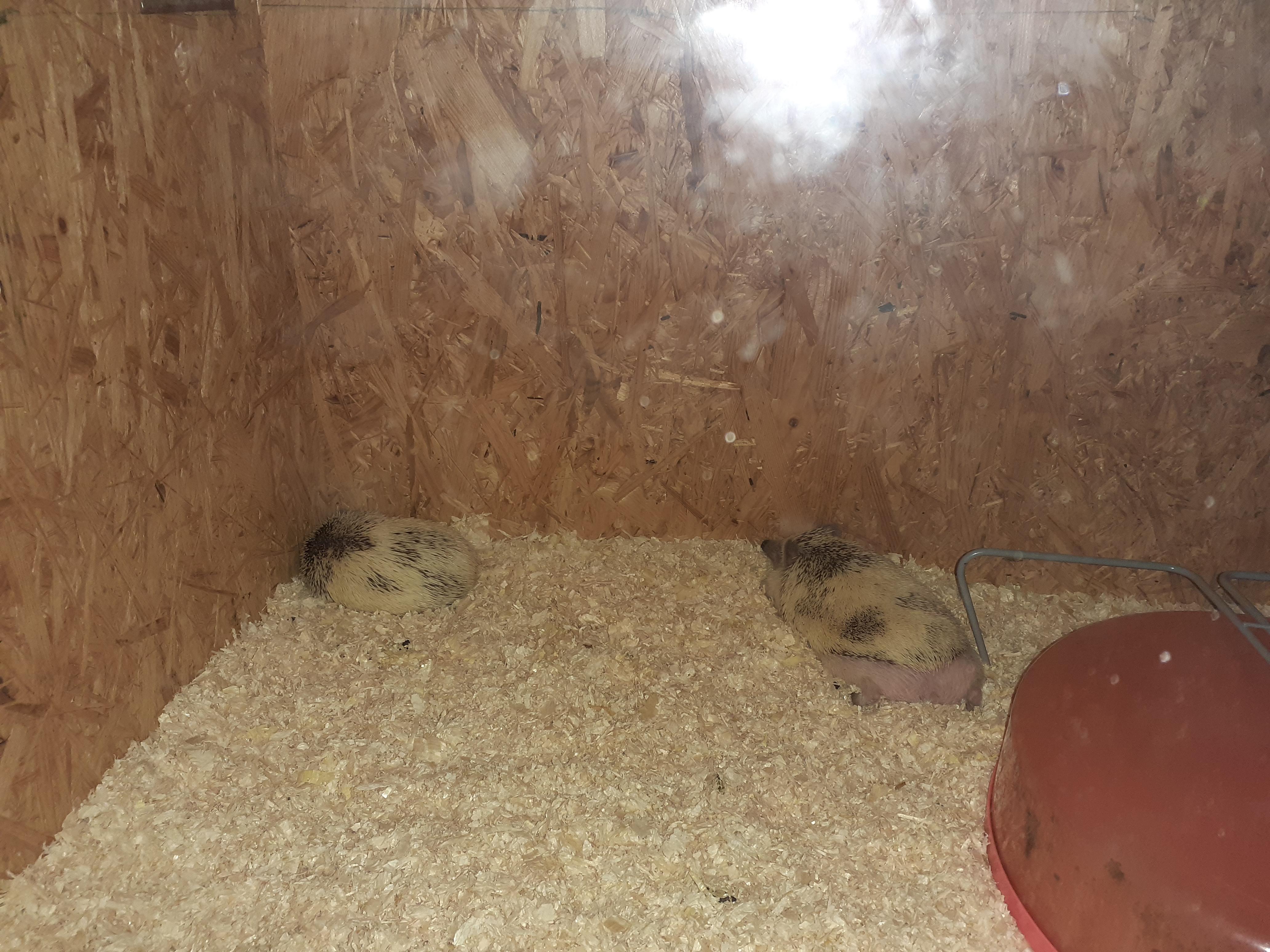 Well I turned the heater back on for the first time in months and came