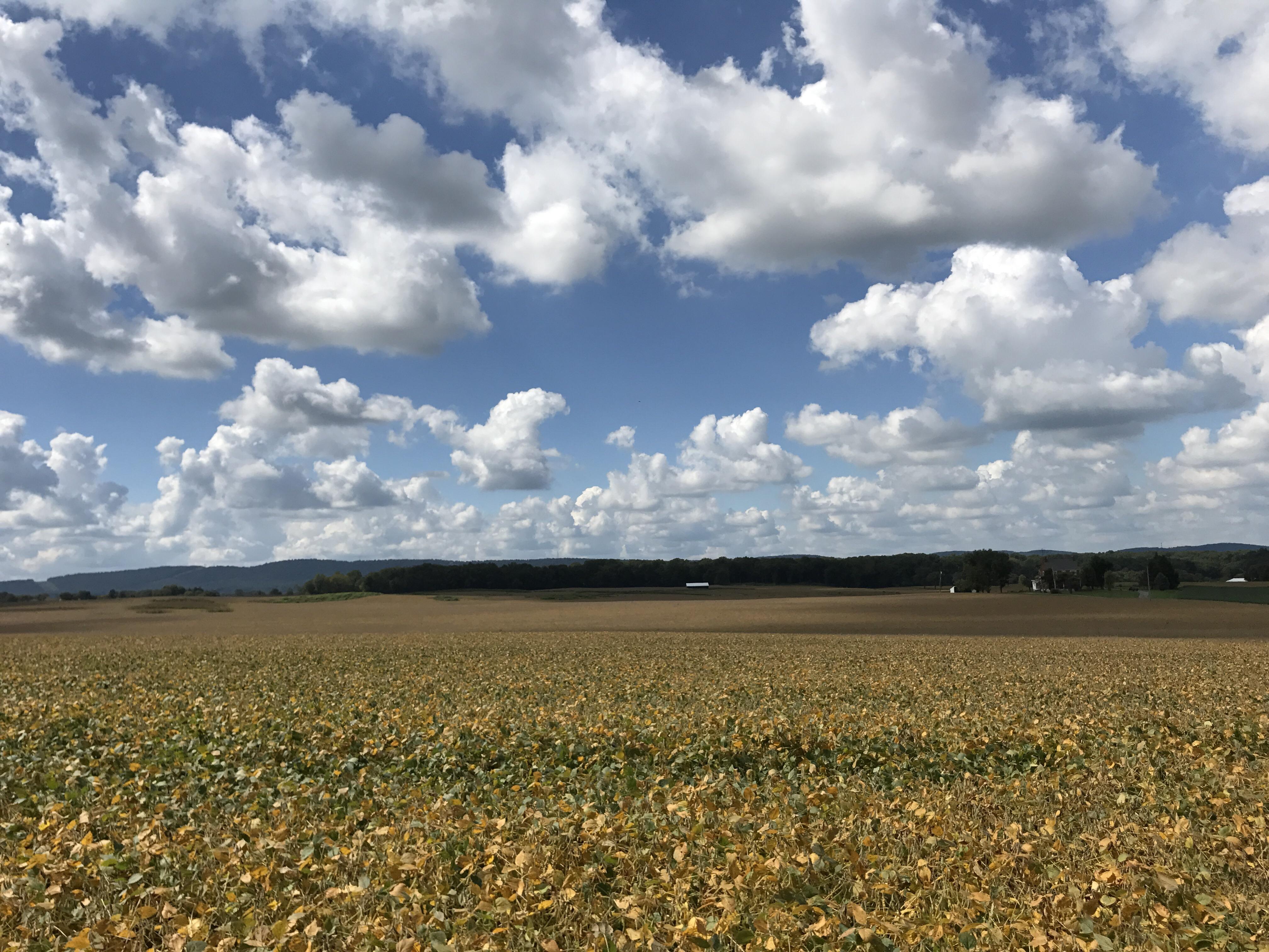 [4032x3024] A country field in Buckeystown, MD just 32 miles from DC