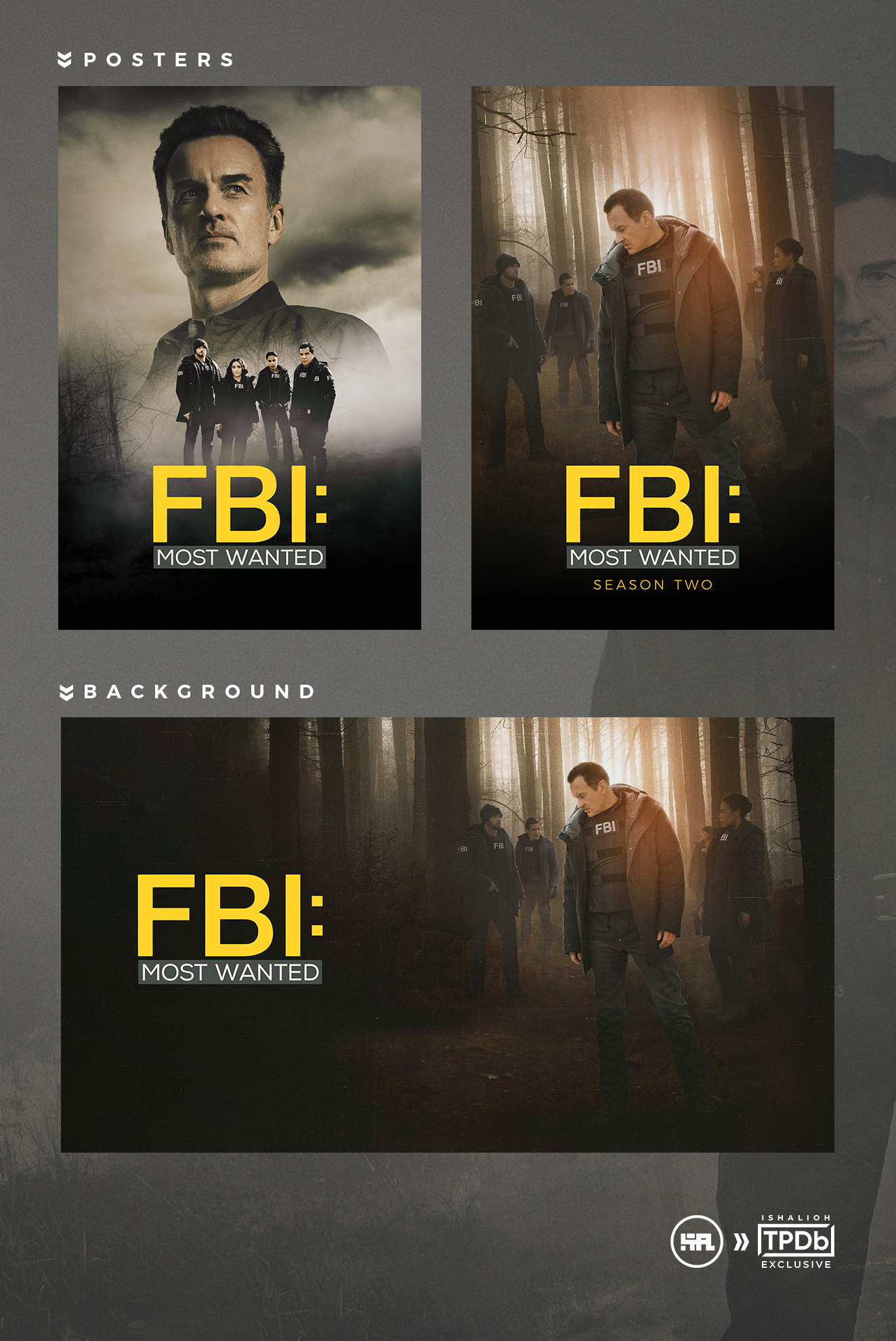 FBI Most Wanted (2020) [Collection] UPDATE r/PlexPosters