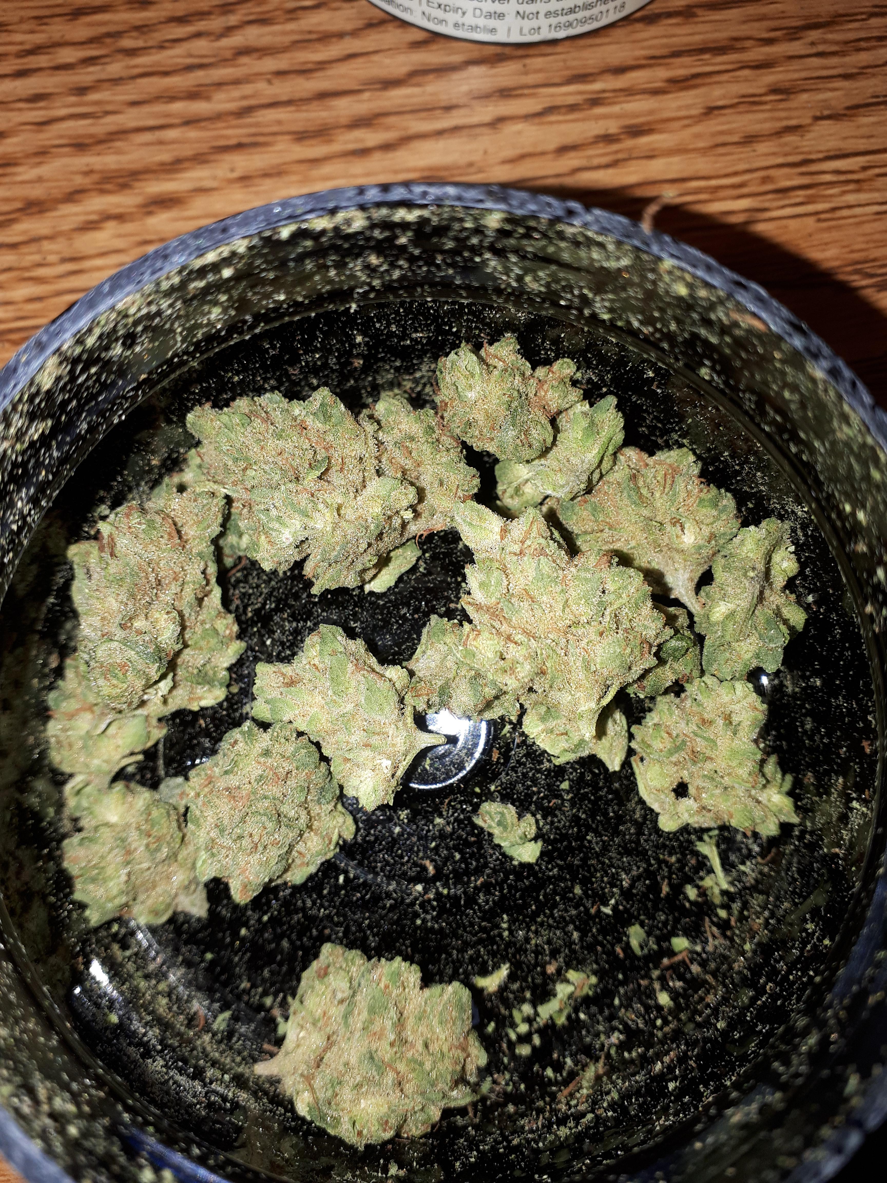 Color Ghost Train Haze at 19.48THC TheOCS