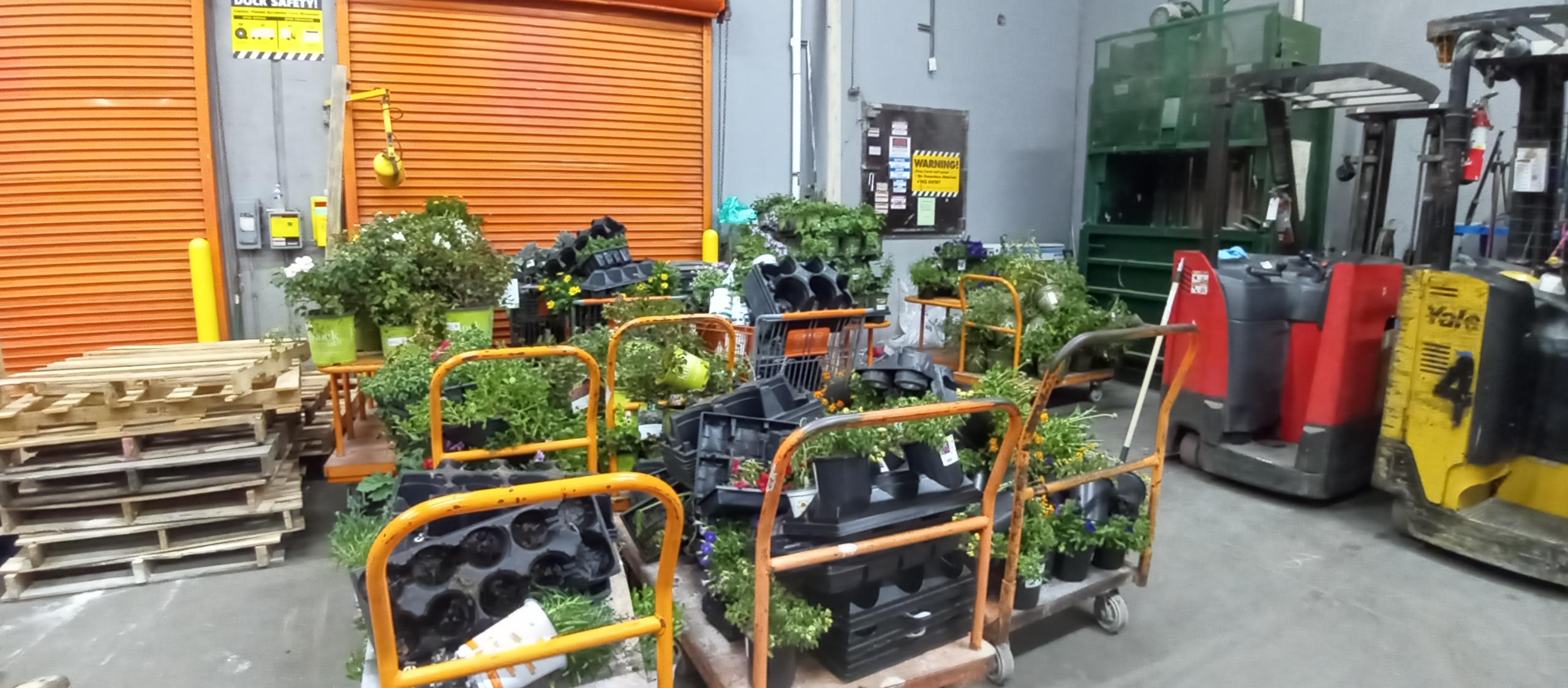 What a waste of plants r/HomeDepot