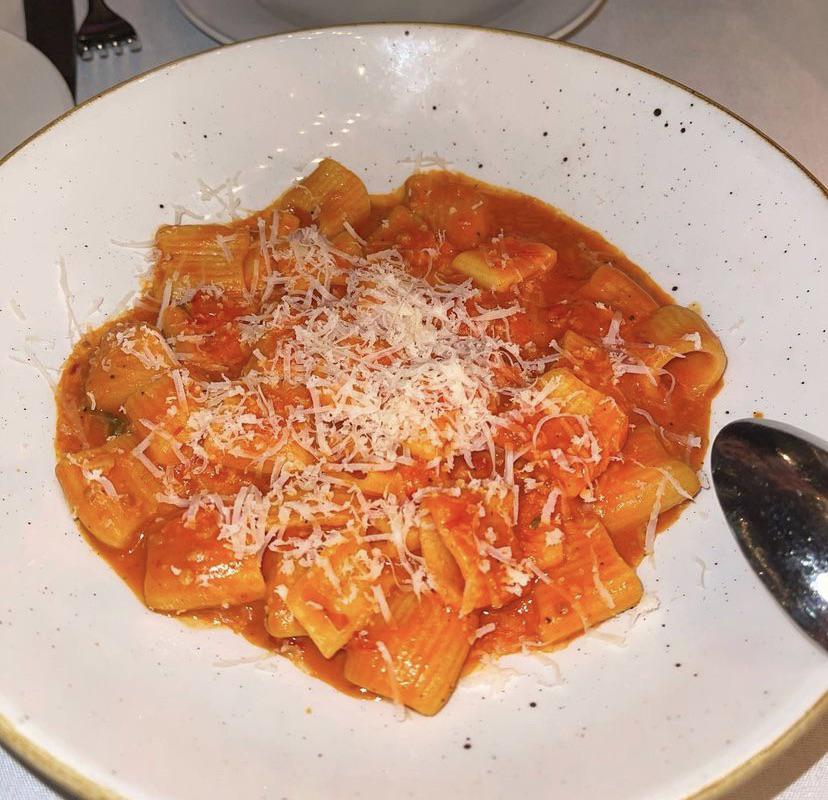 how many calories in this plate of spicy vodka rigatoni pasta? (from a