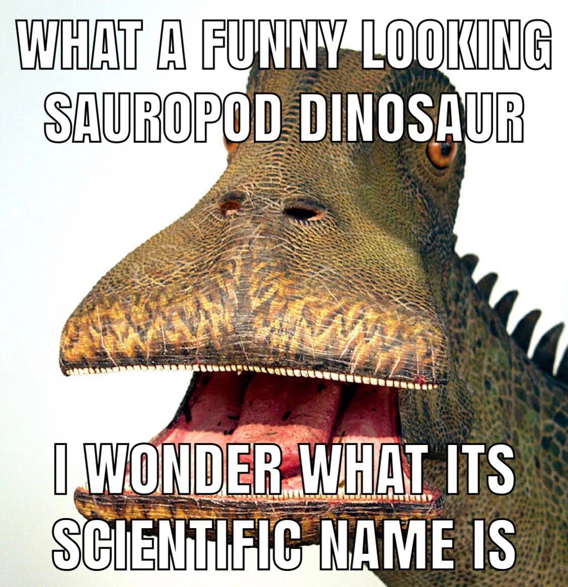 Ni r/DinosaurMemes