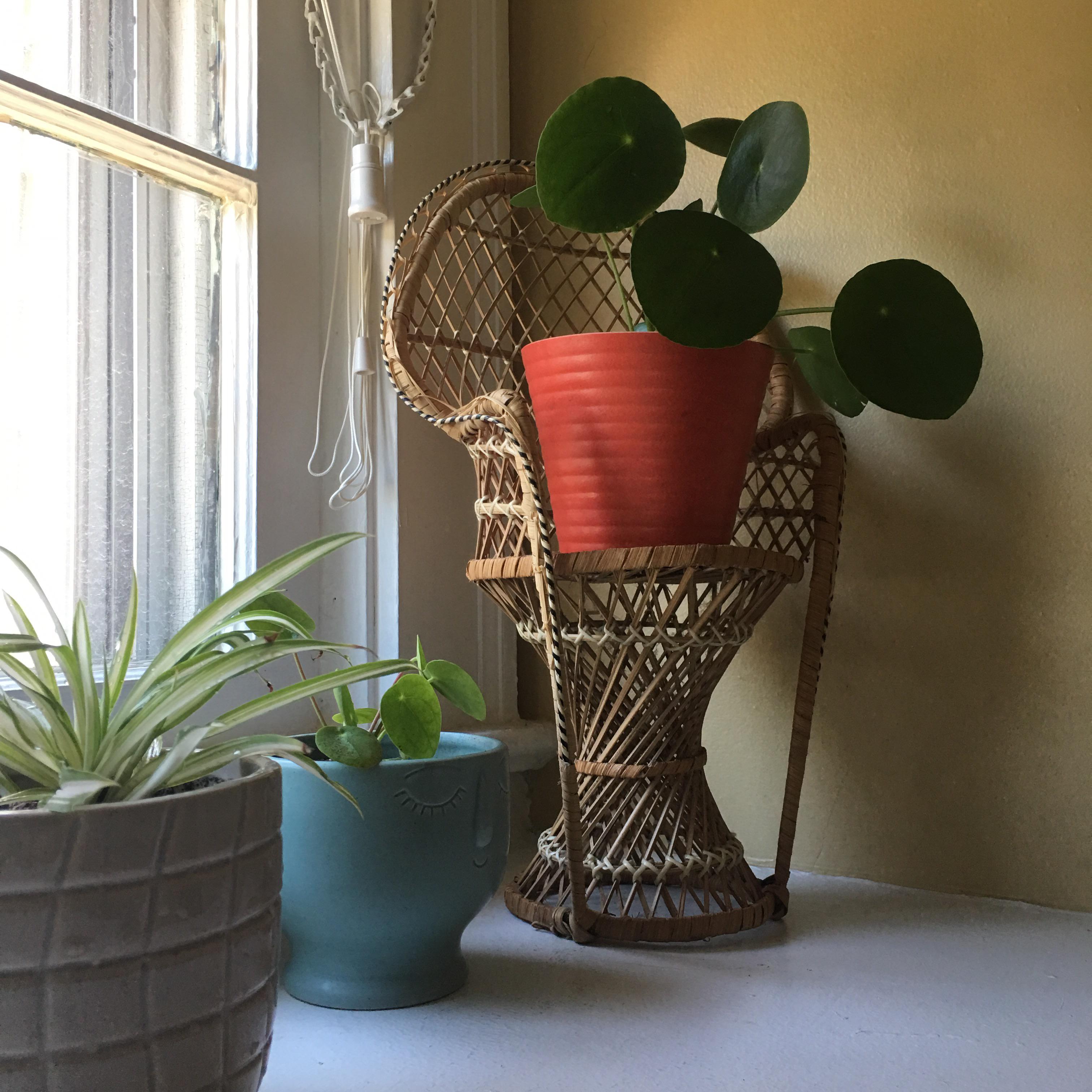 Thrifted this awesome chair plant stand for 1.41 today! I’m in love