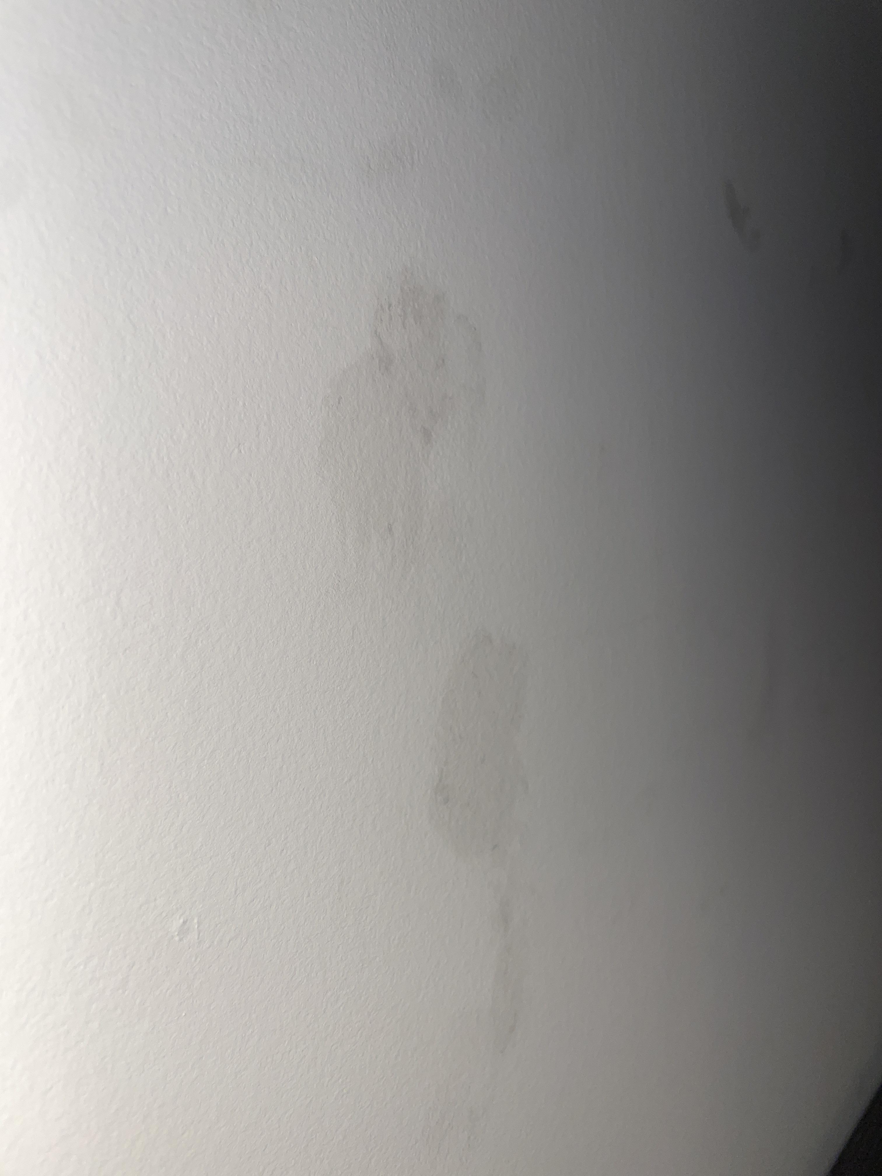 Removed putty off walls and left stain help! r/CleaningTips