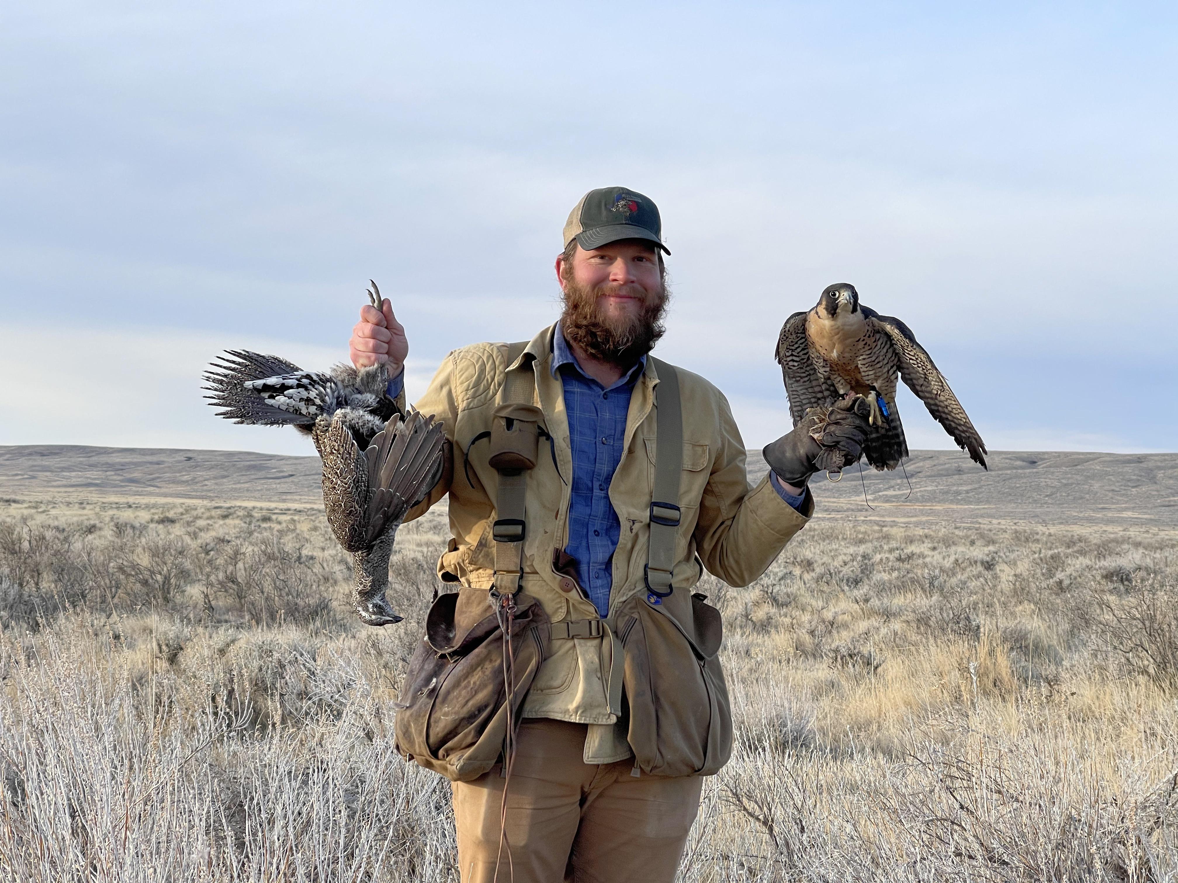 First sage grouse with a falcon! r/Falconry