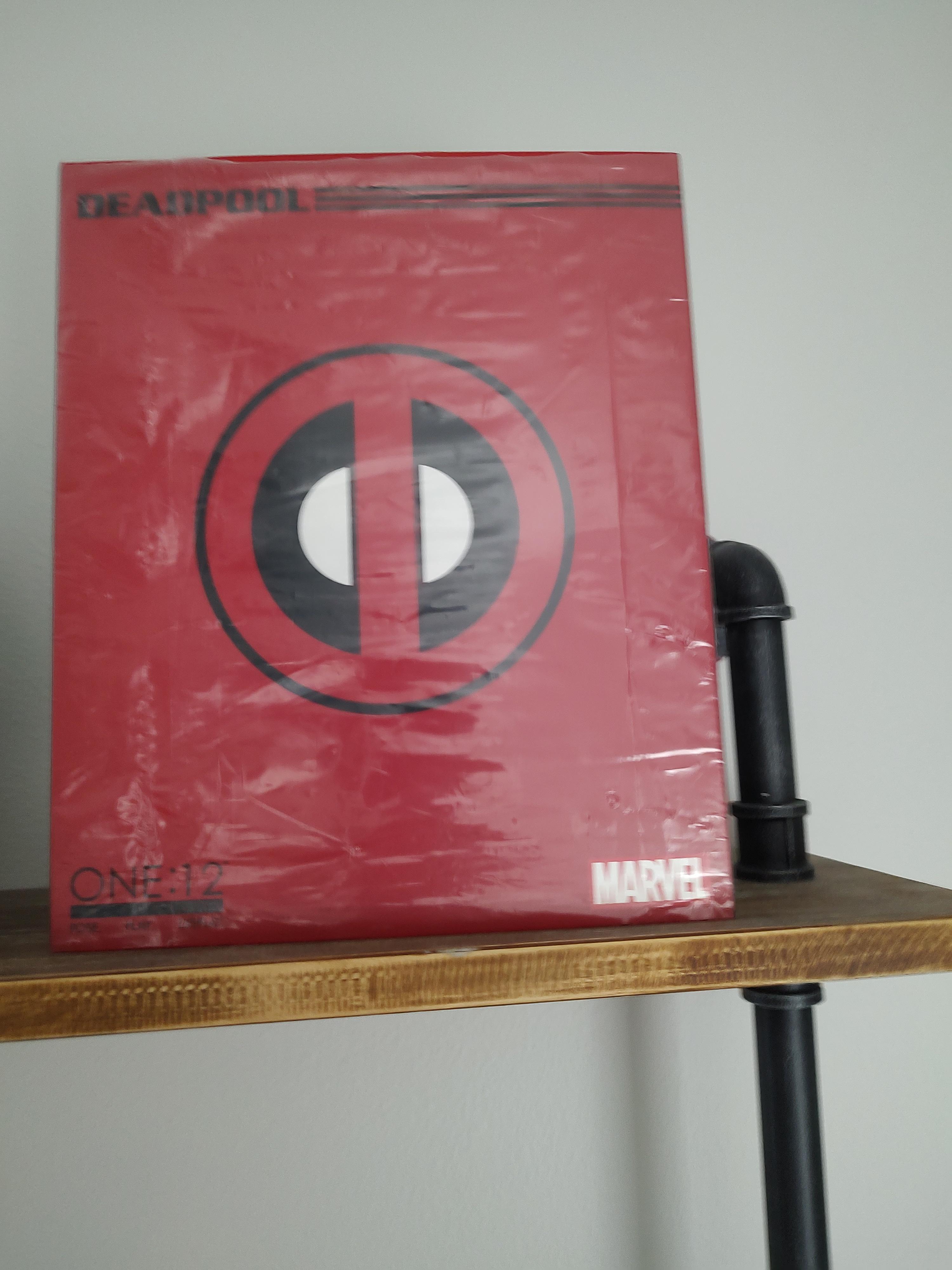 What Should I Do With This? r/Mafex