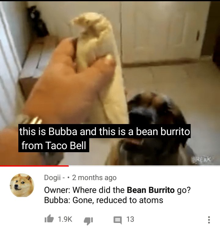Dog Eats Burrito In 1 Second Burrito Walls