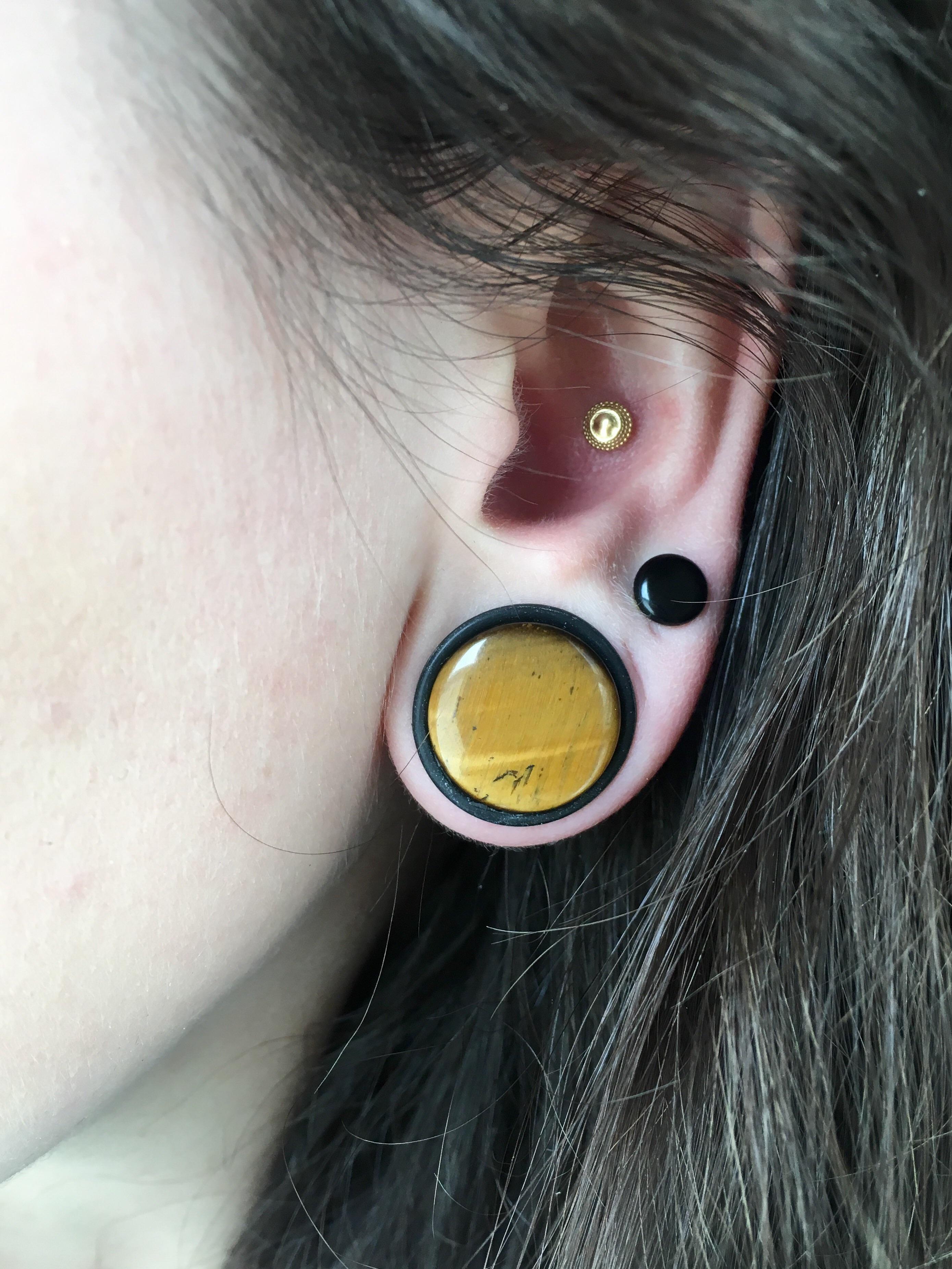 3 week old conch and 4mm lobe pierced by Masa Needles at Nine Body