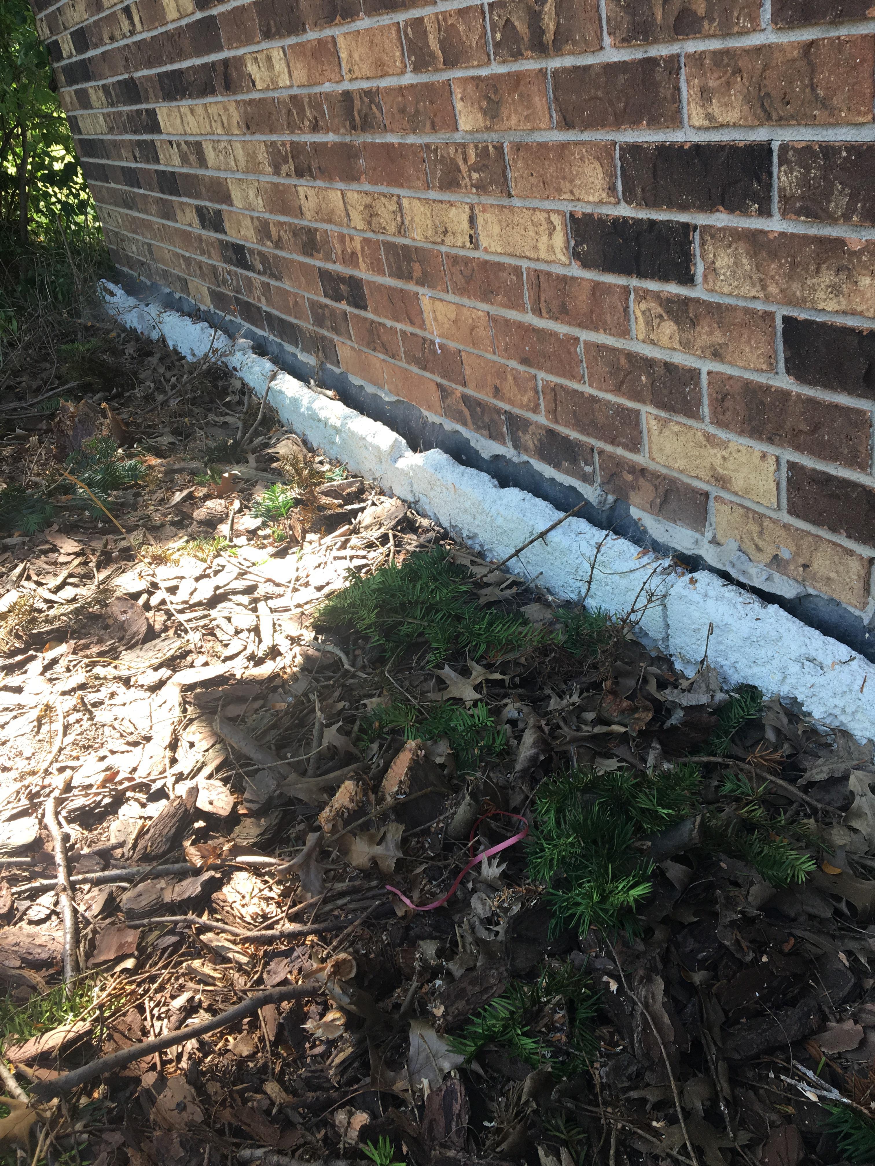 Cleared out the bushes in front of my house and saw these long pieces