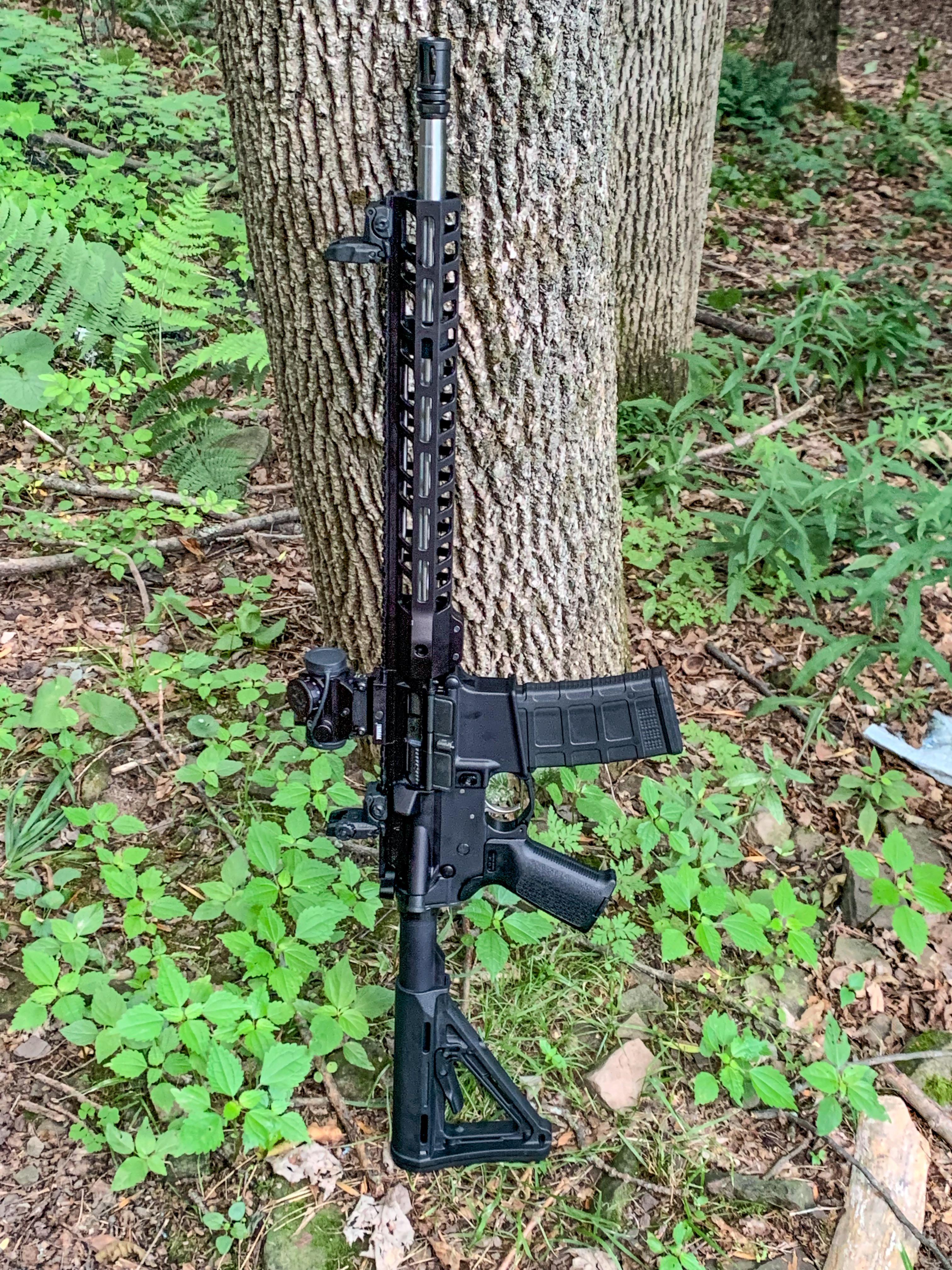 Finally got my first AR15 and decided to build it instead of just