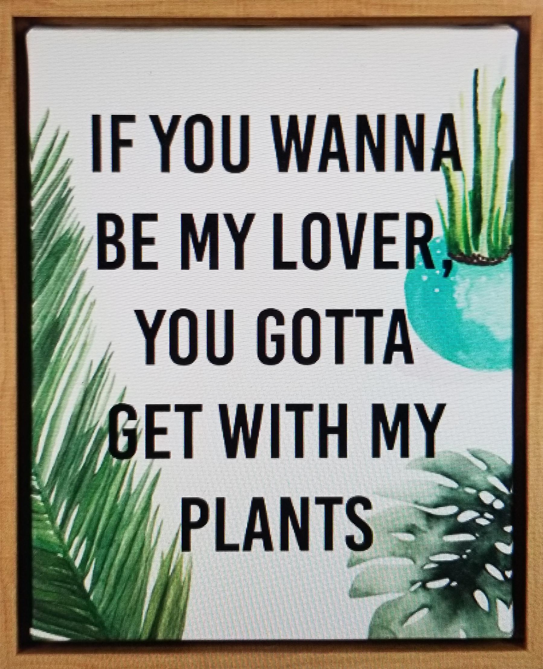 If he don't like my plants.....he can't stay!! r/succulents